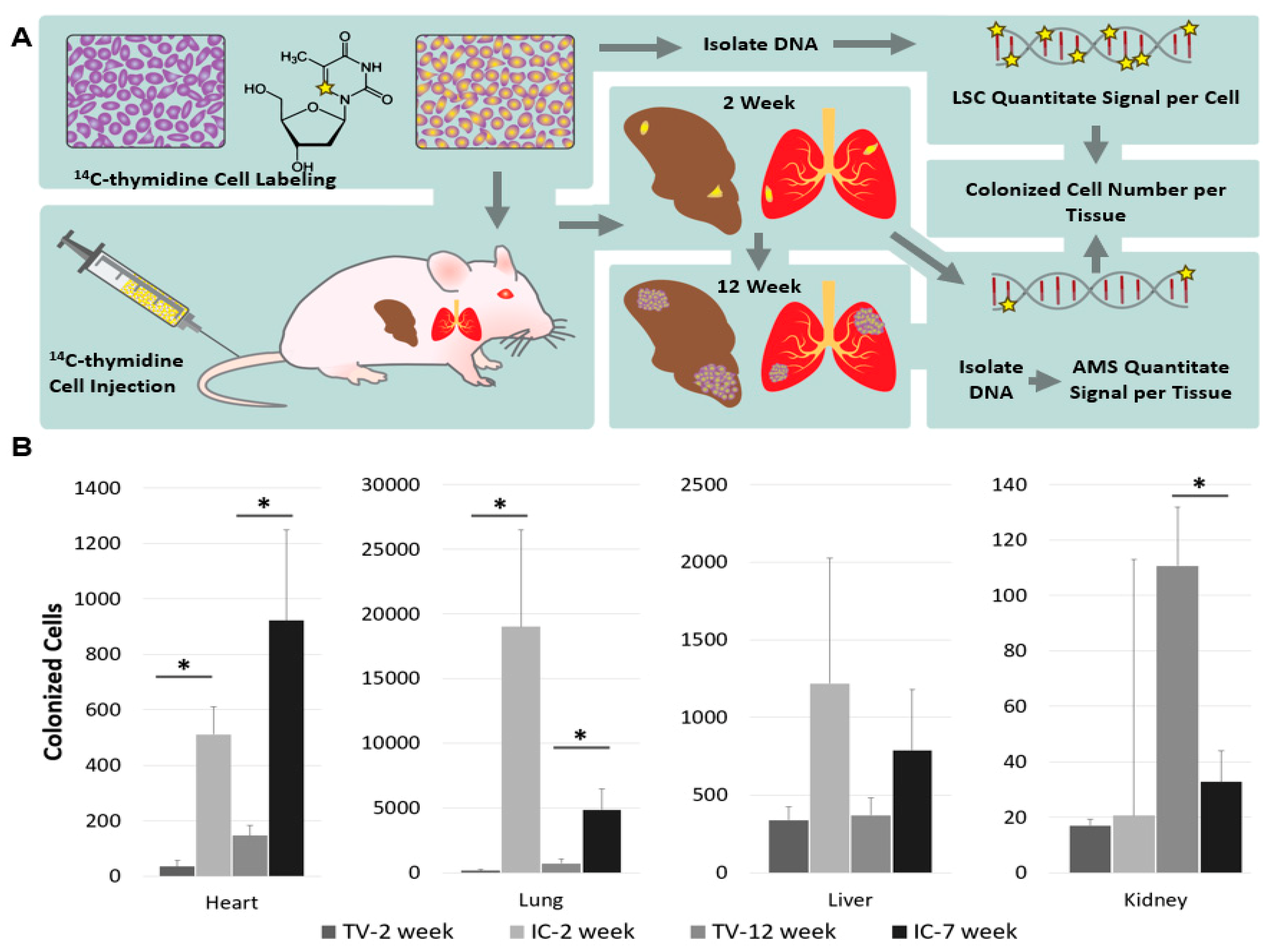 Toxics 07 00027 g005
