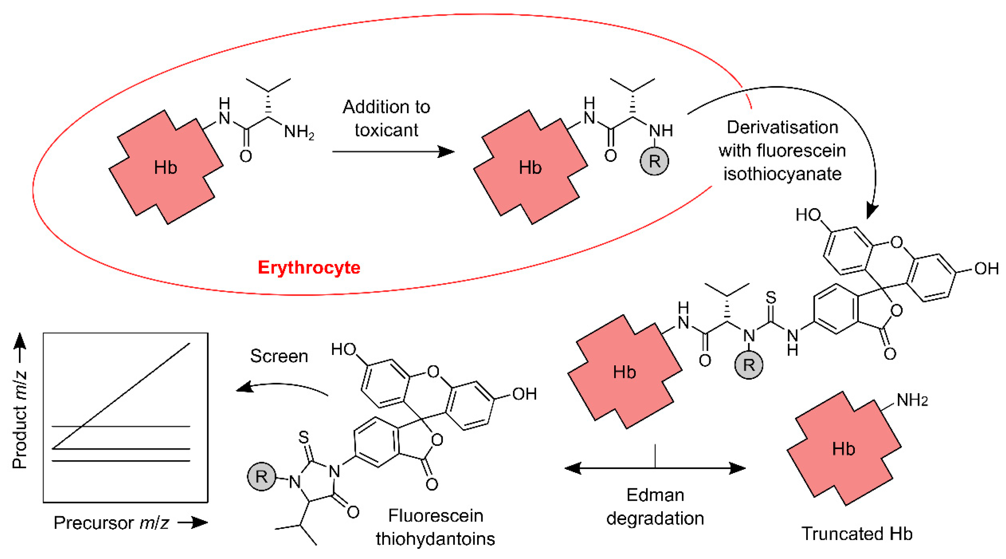 Toxics 07 00029 g001