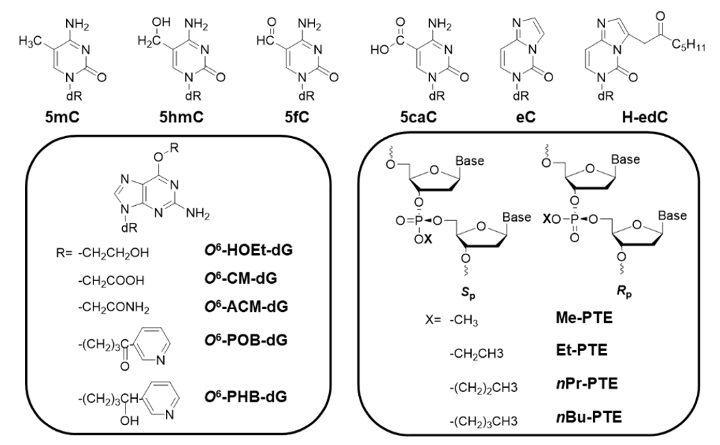 Toxics 07 00036 g003b Toxics 07 00036 g003b