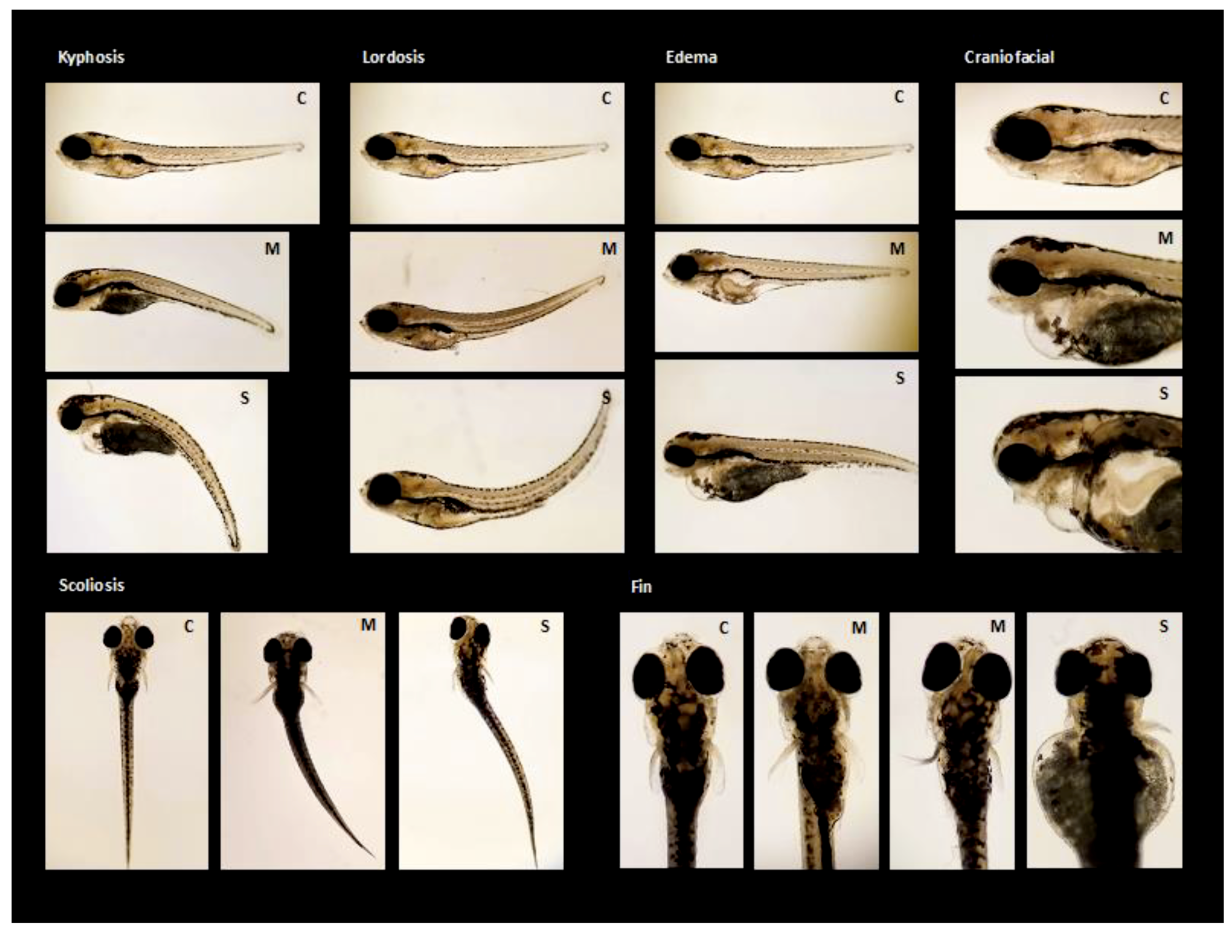 Toxics 07 00044 g002