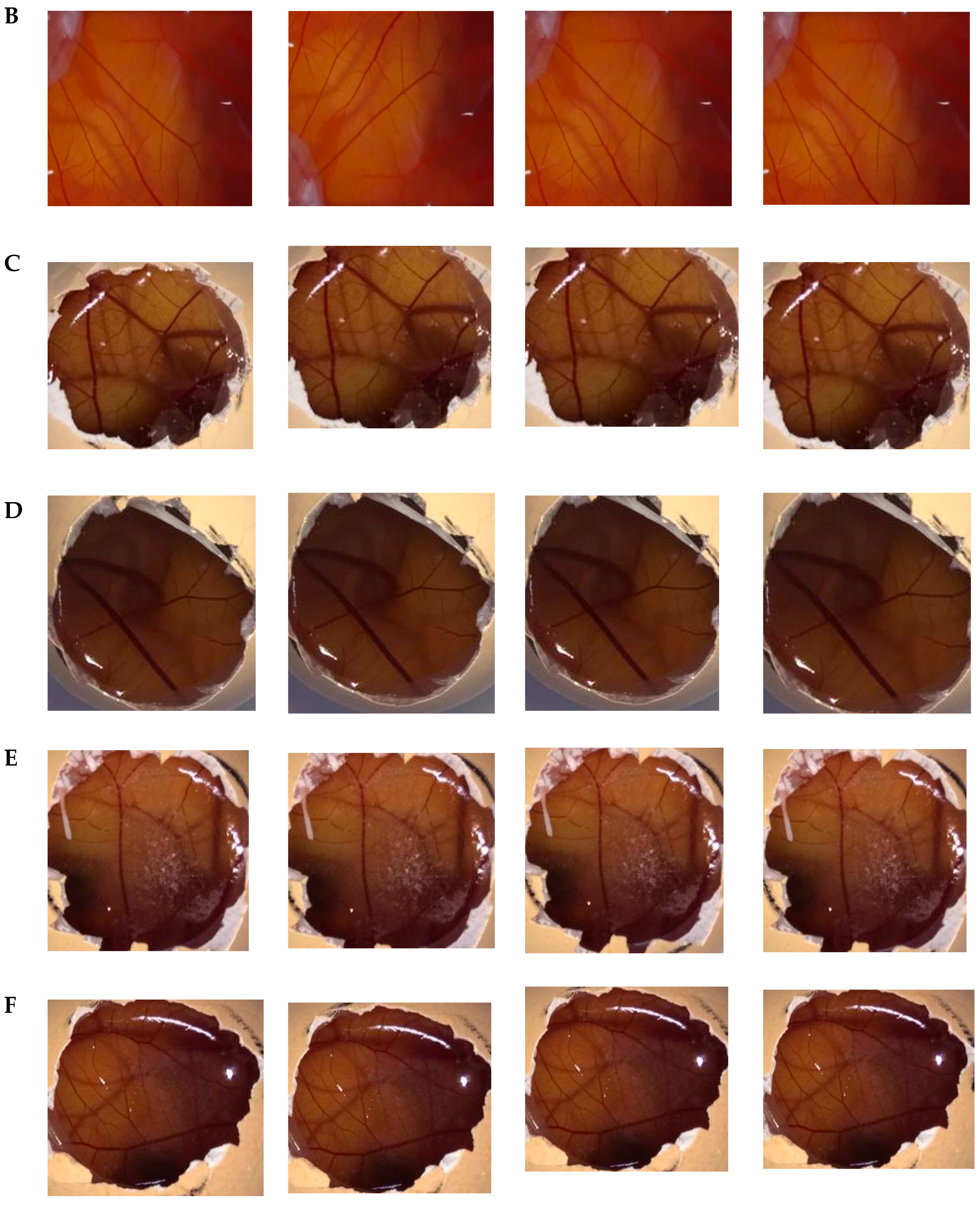 Toxics 07 00051 g004b