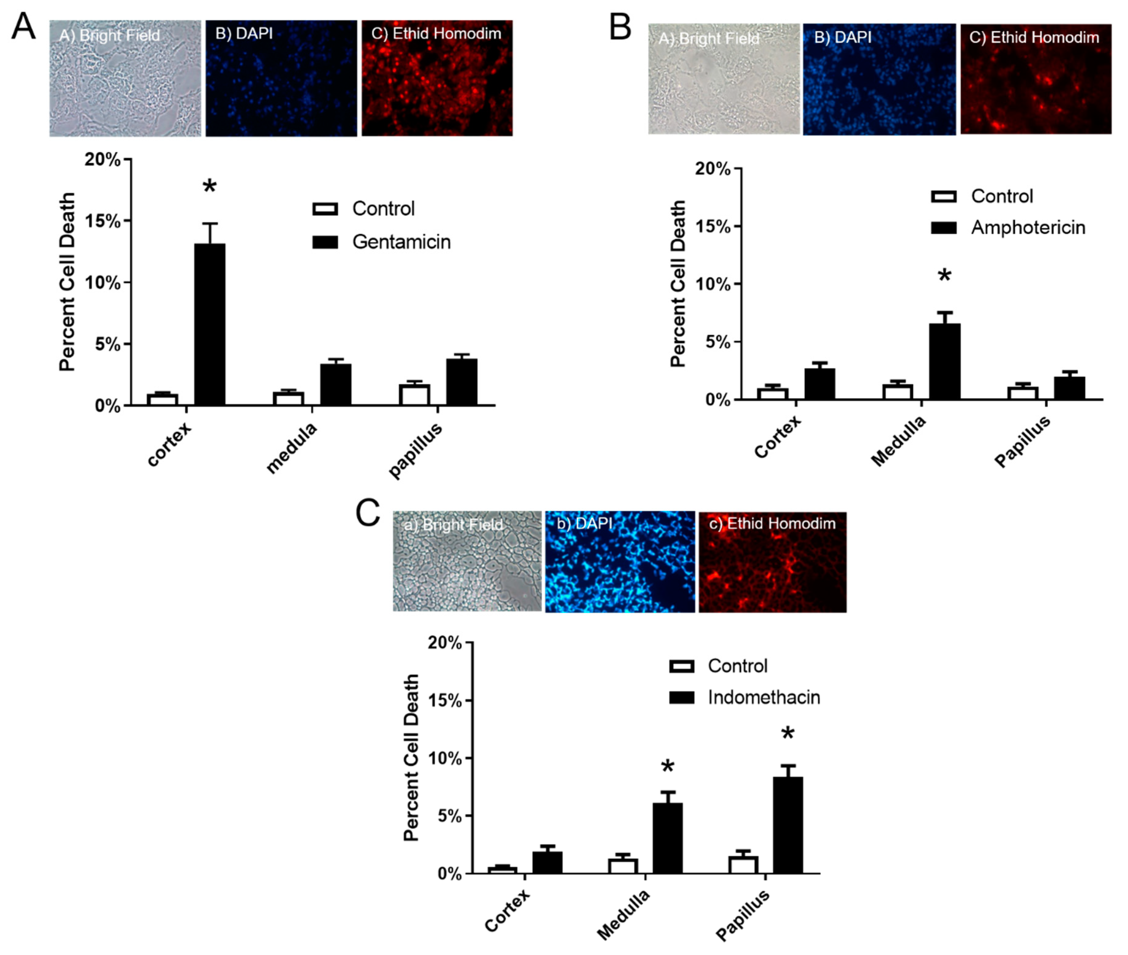 Toxics 08 00004 g002