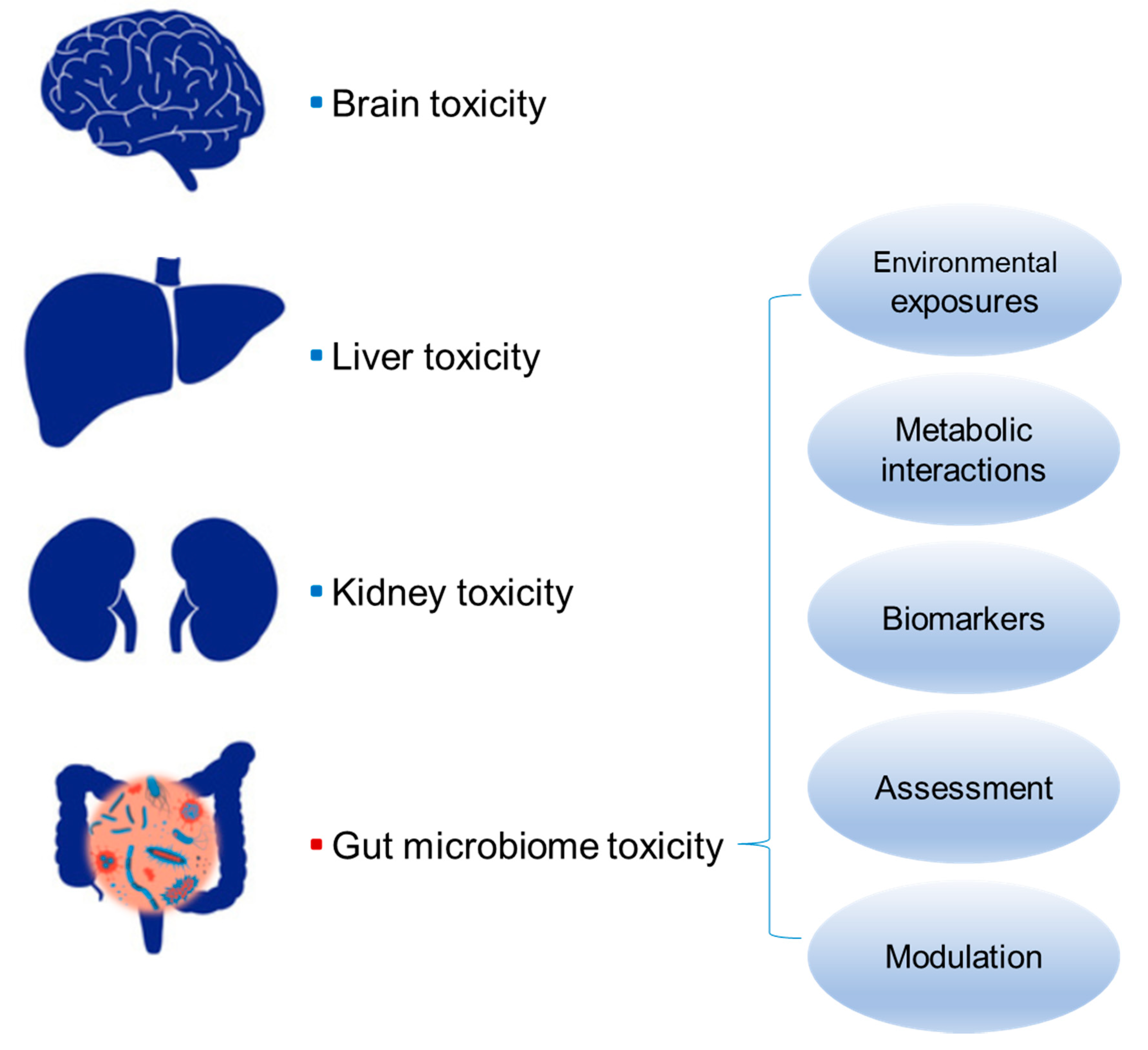 Toxics 08 00019 g001