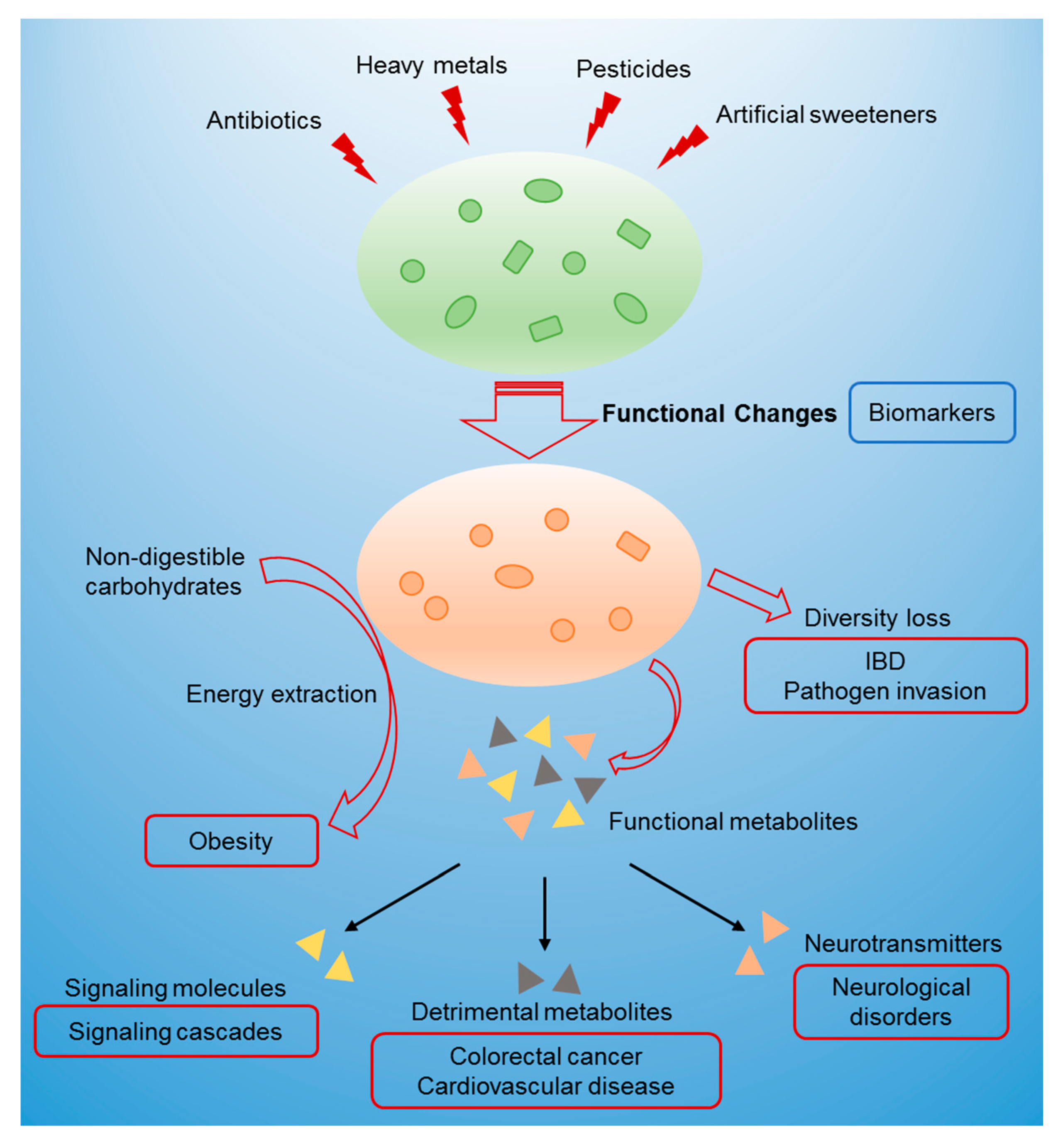 Toxics 08 00019 g002