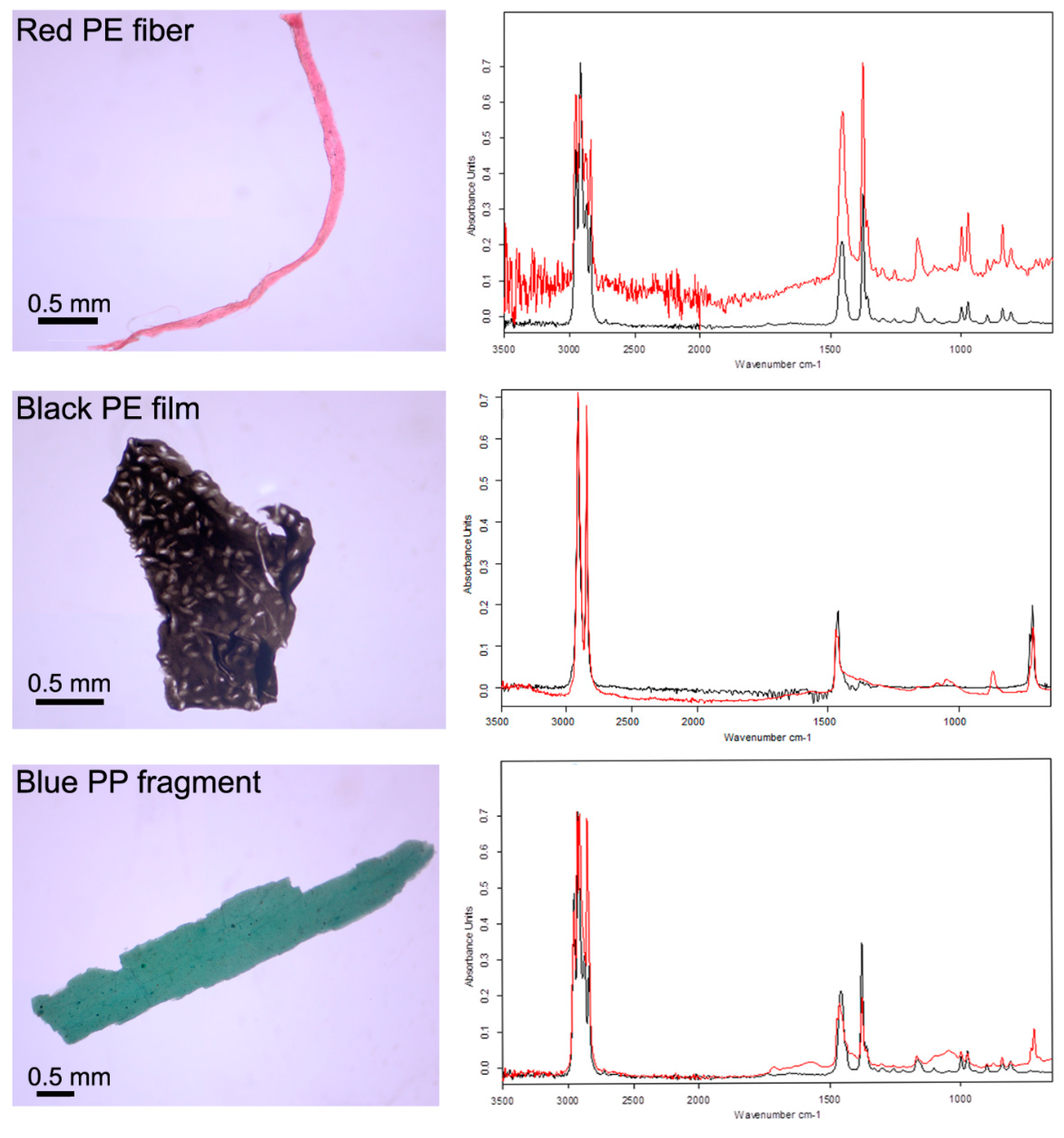 Toxics 08 00022 g003 Toxics 08 00022 g003
