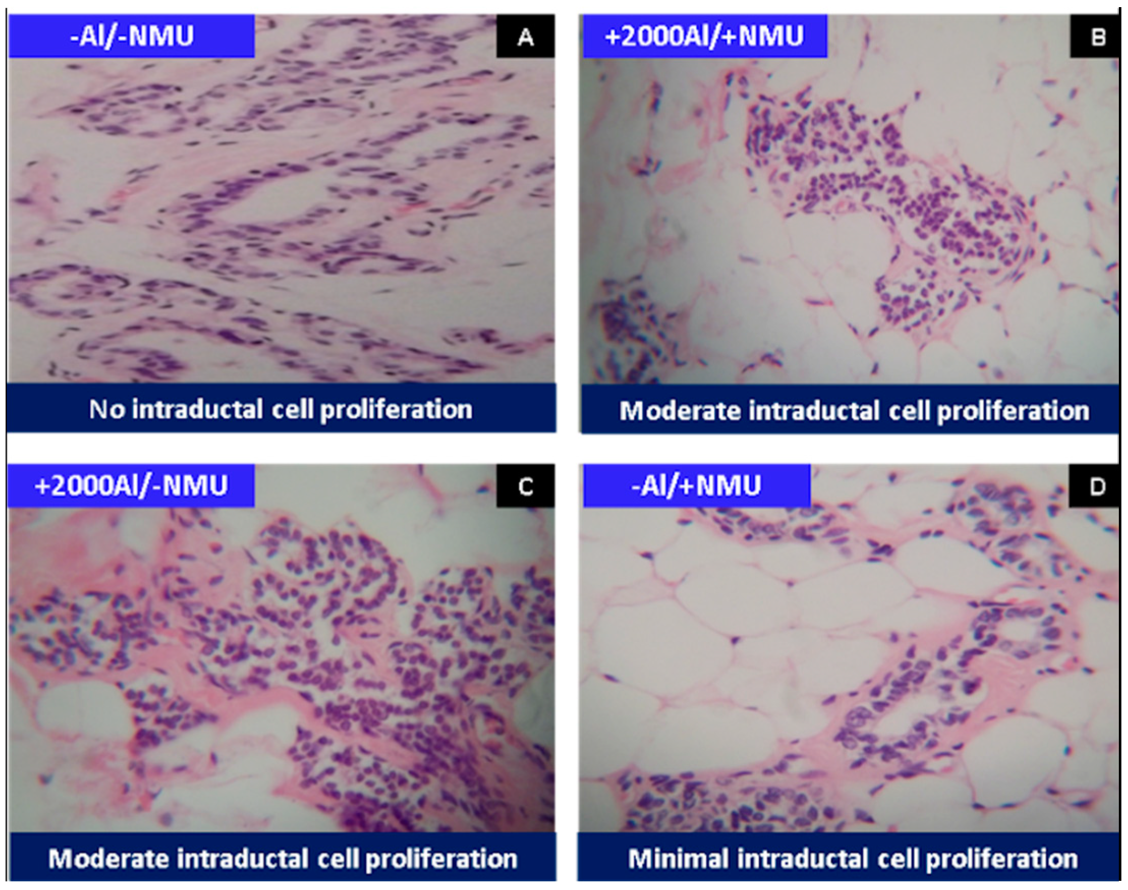 Toxics 08 00031 g001 Toxics 08 00031 g001