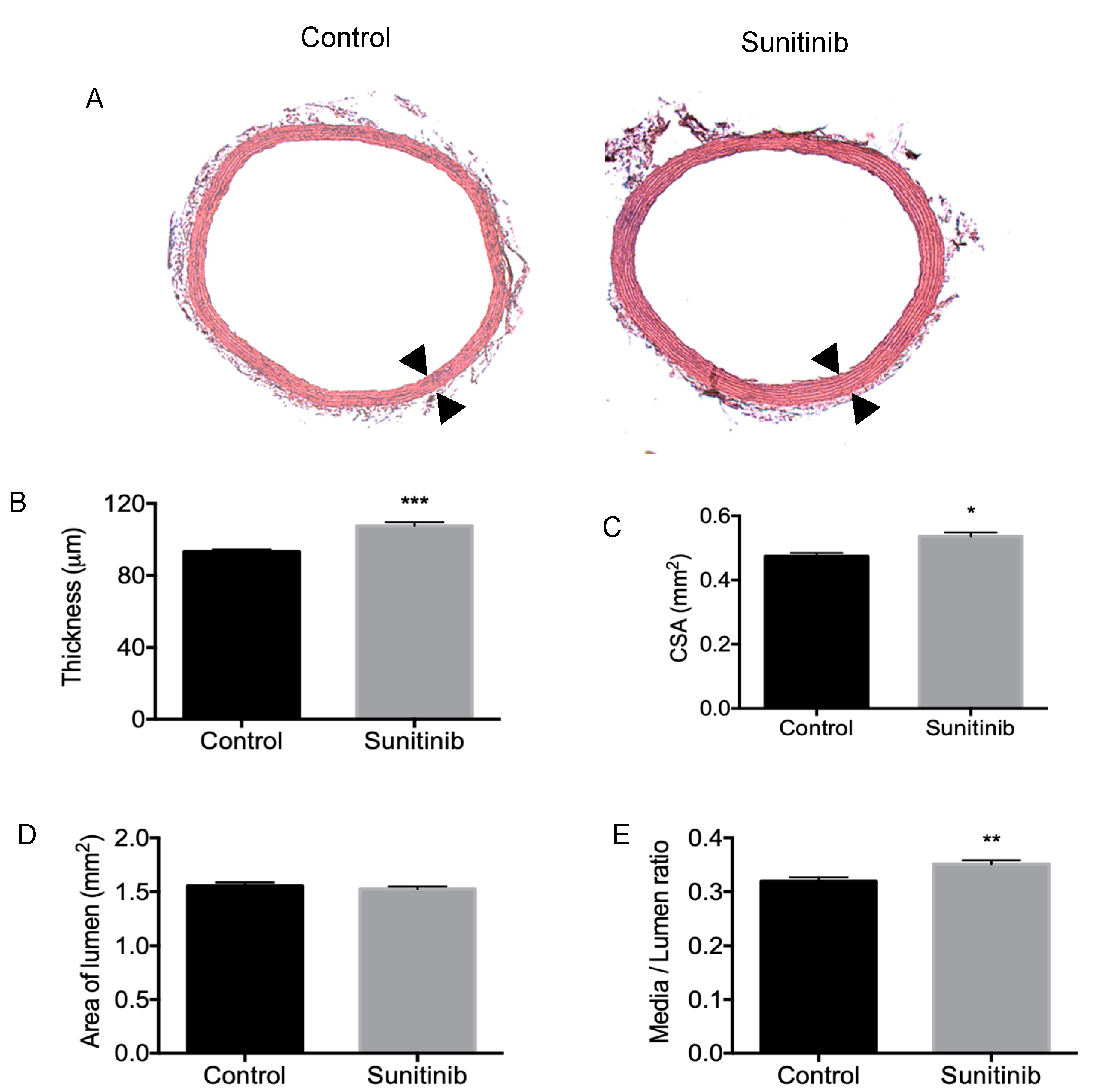 Toxics 08 00049 g003