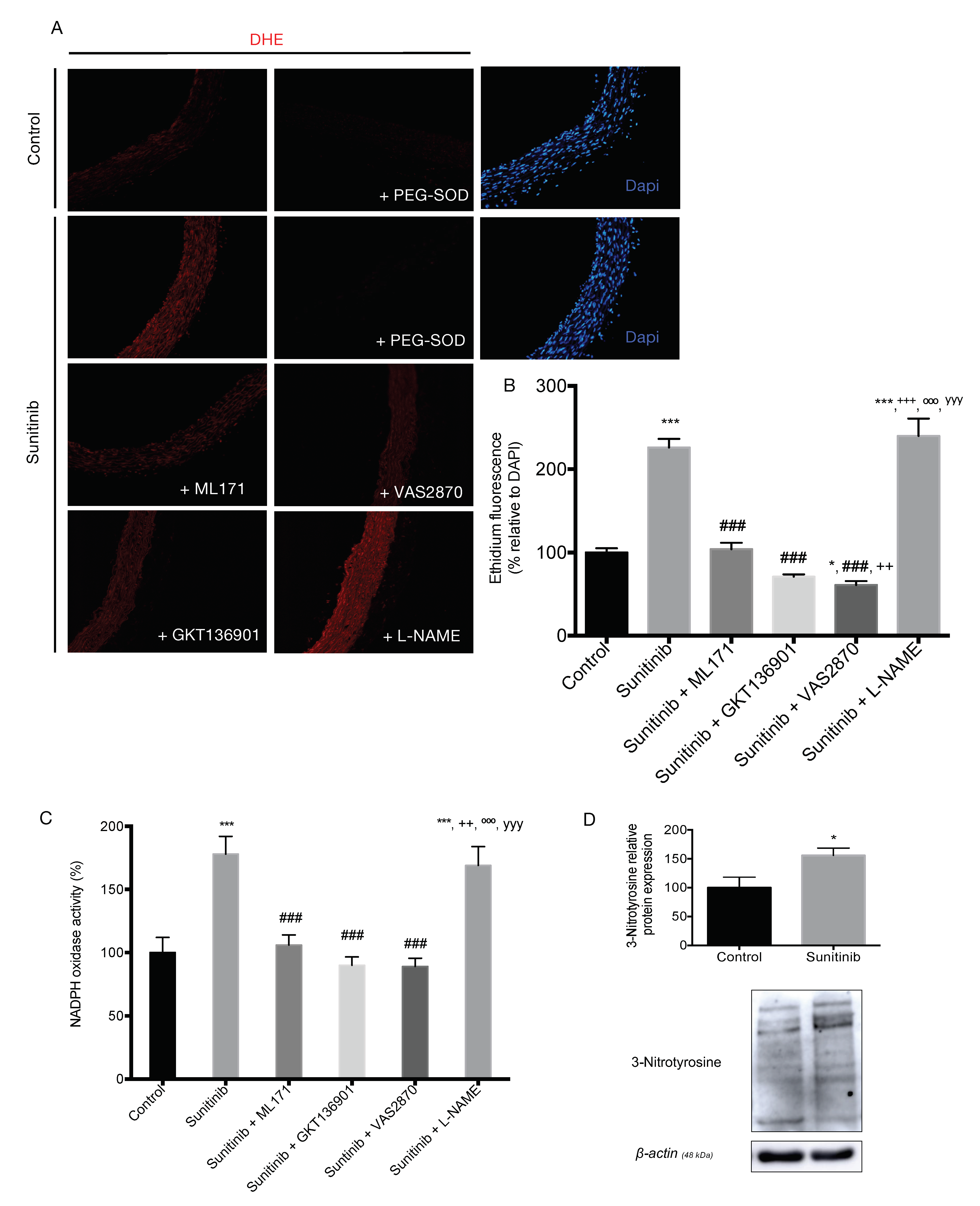 Toxics 08 00049 g005