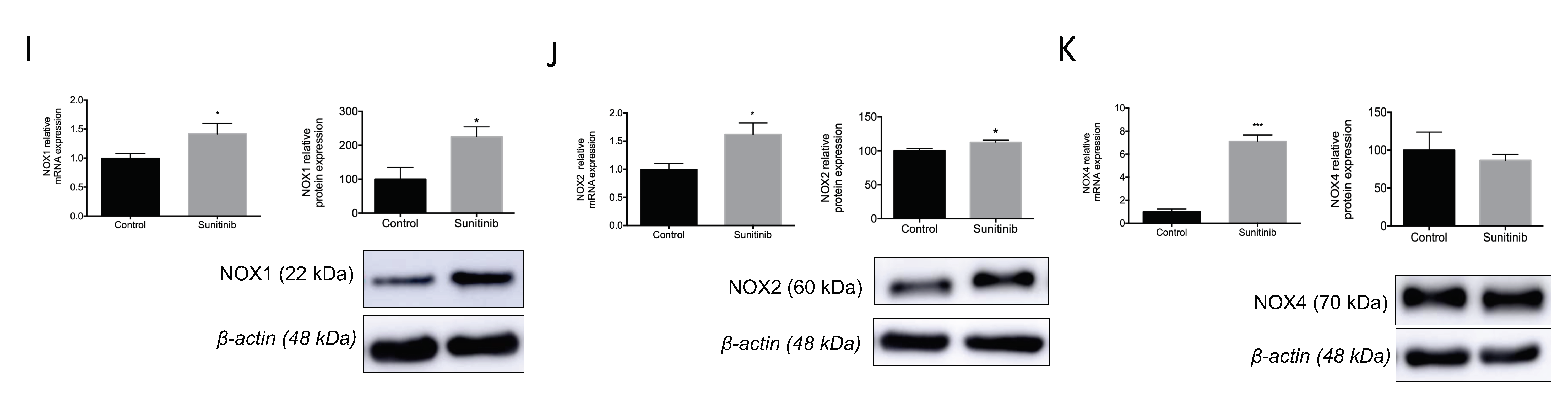 Toxics 08 00049 g006b