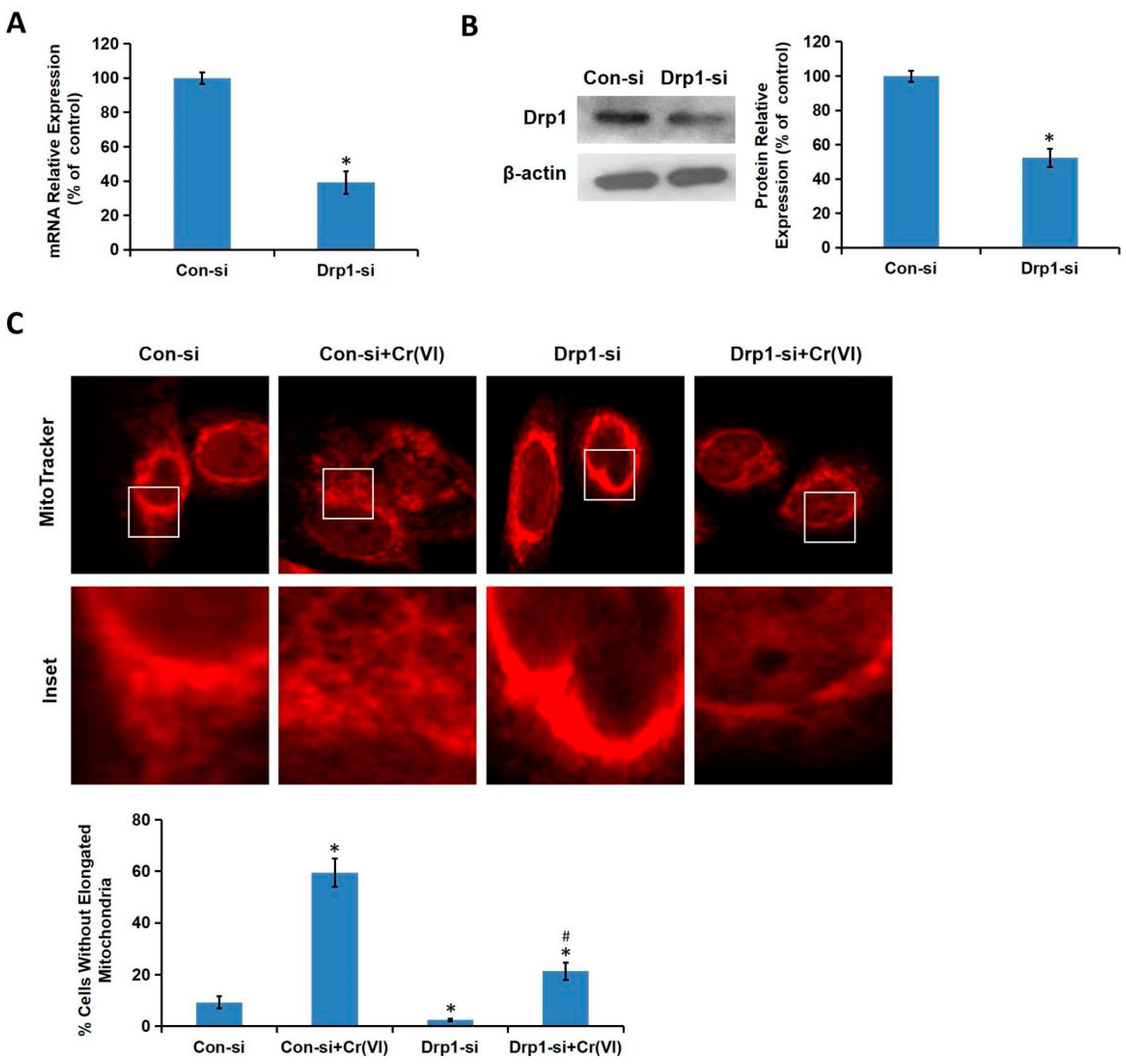 Toxics 08 00050 g005