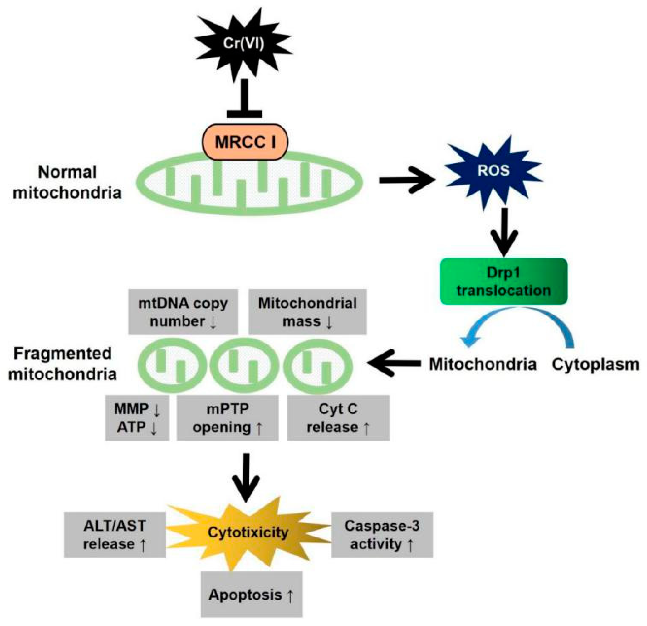 Toxics 08 00050 g008