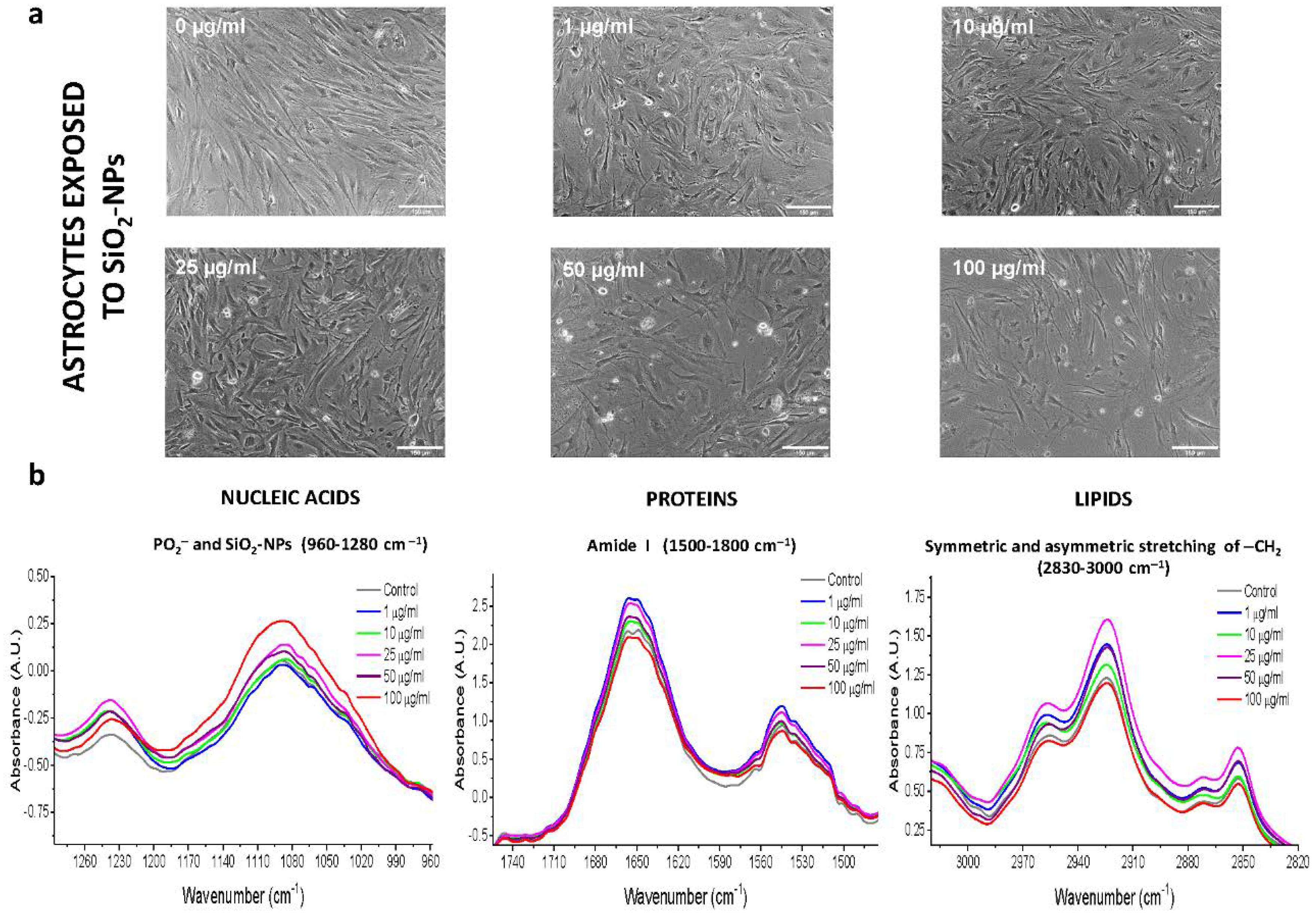 Toxics 08 00051 g002 Toxics 08 00051 g002