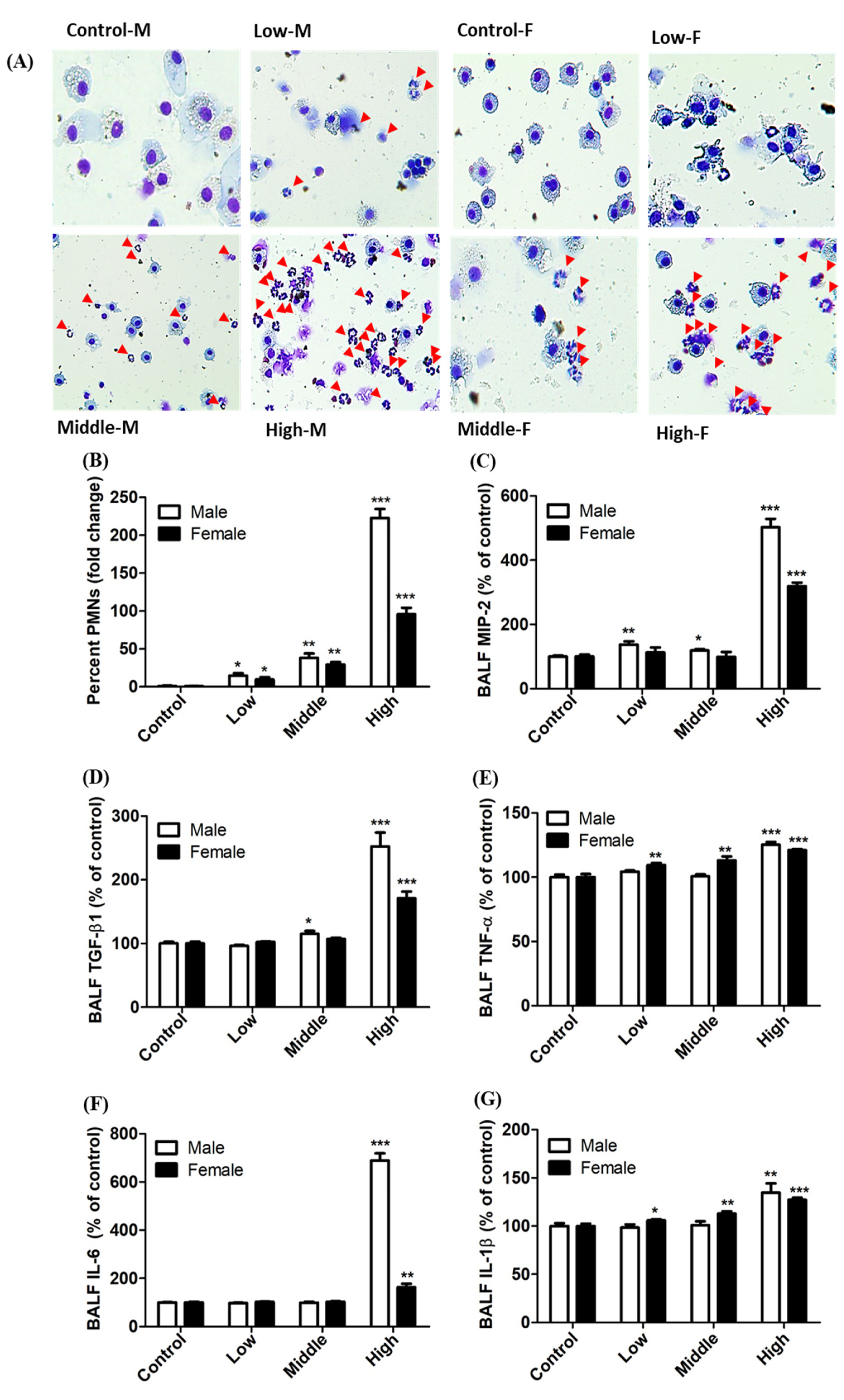 Toxics 08 00076 g006