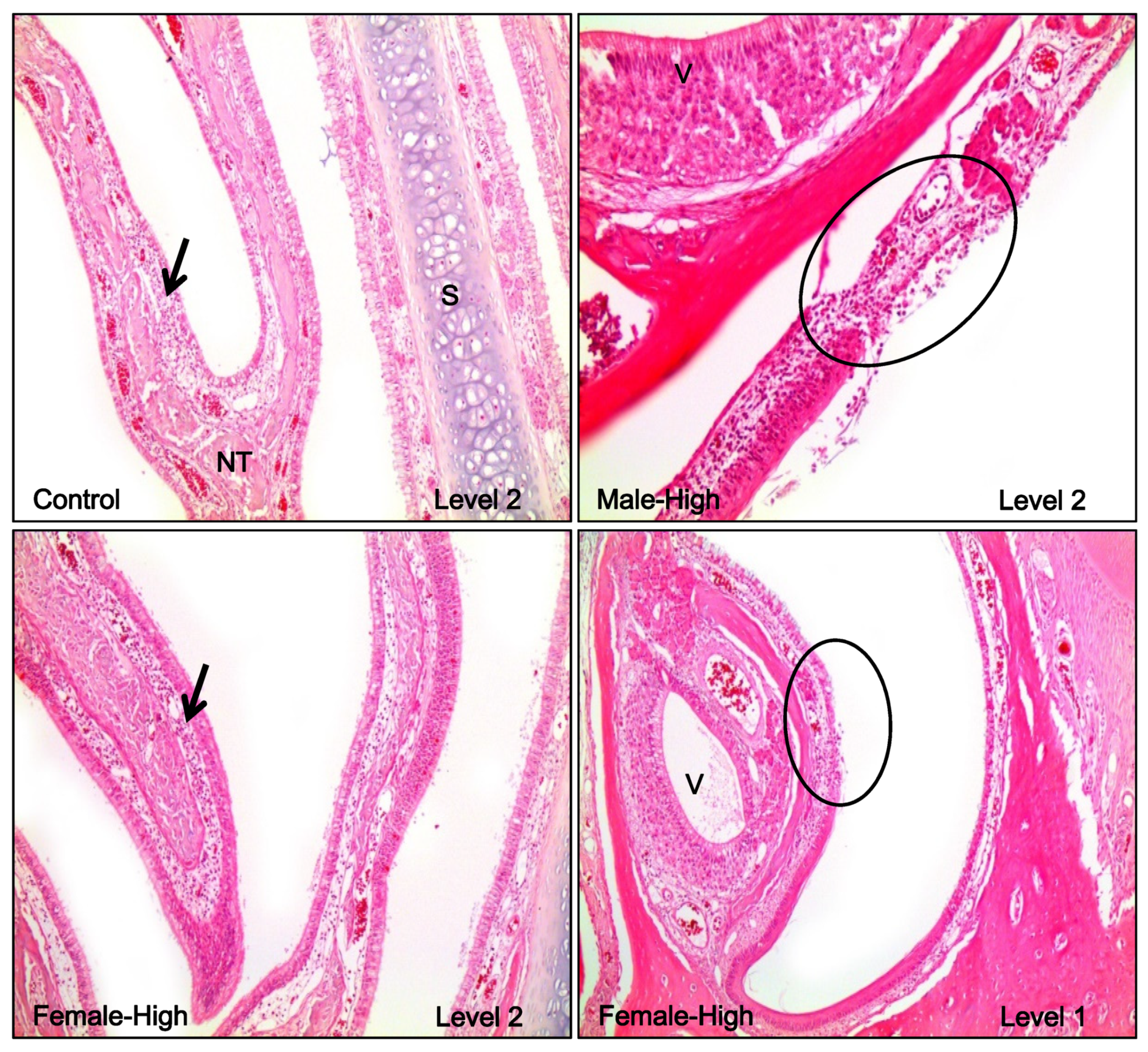Toxics 08 00076 g007