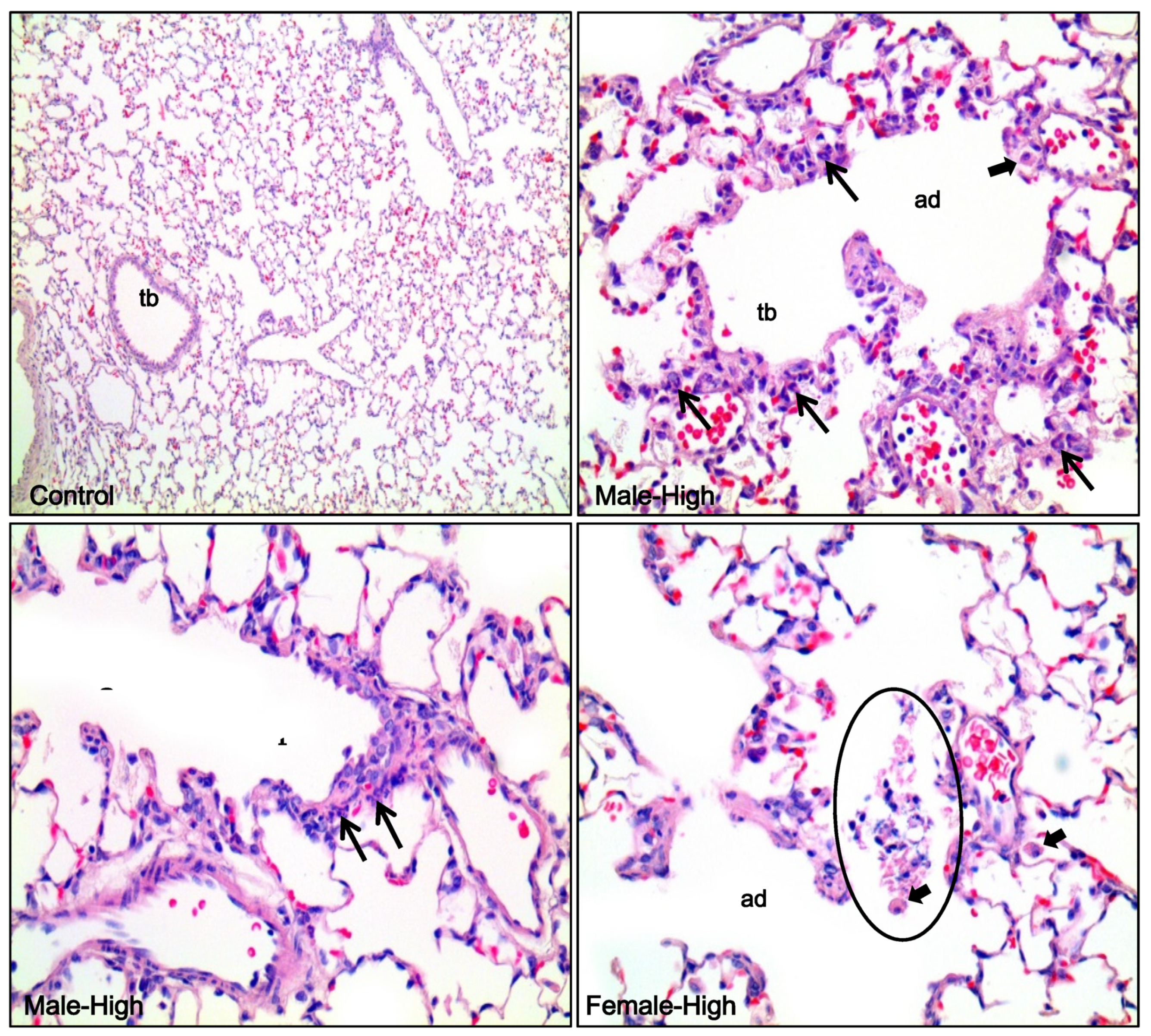 Toxics 08 00076 g008