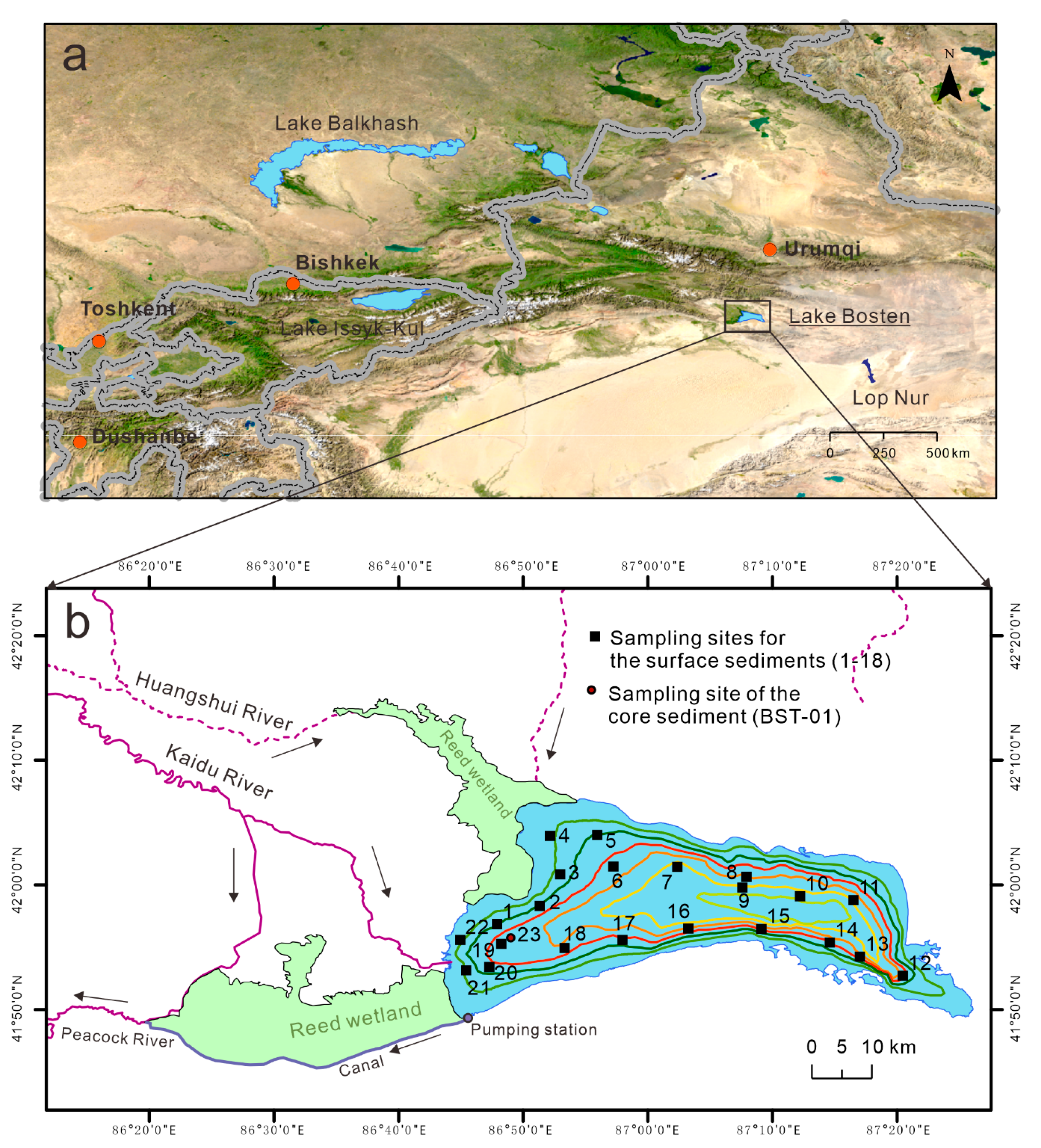 Toxics 08 00077 g001