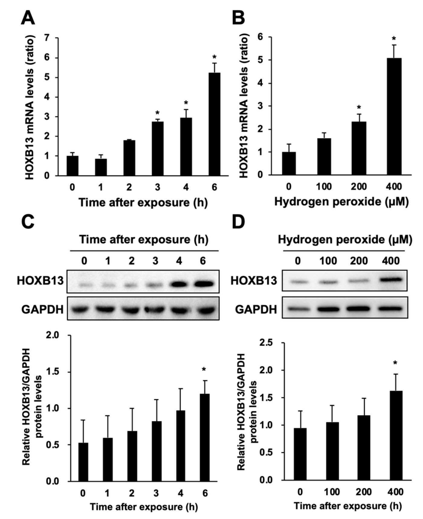 Toxics 08 00078 g002