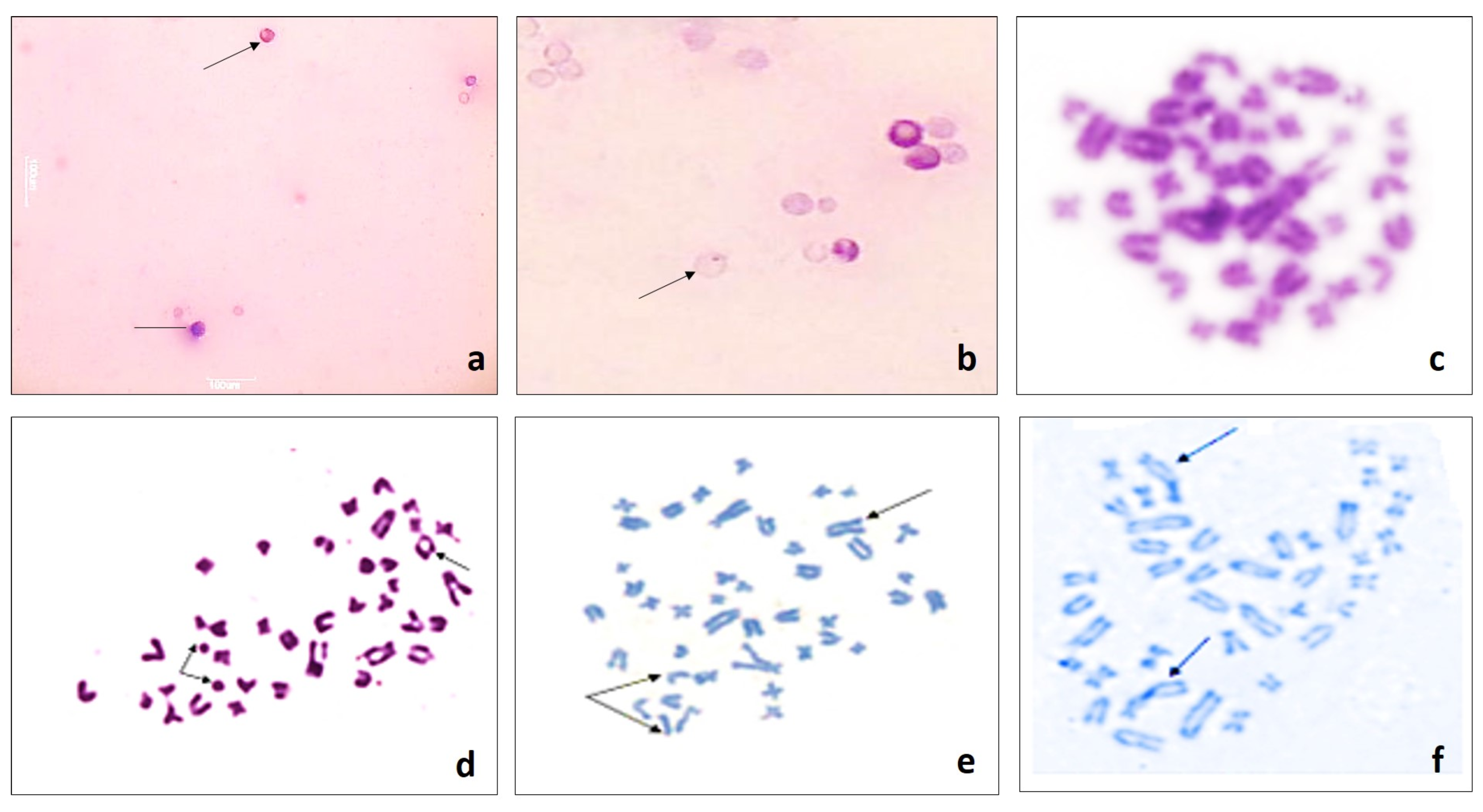 Toxics 08 00080 g001 Toxics 08 00080 g001