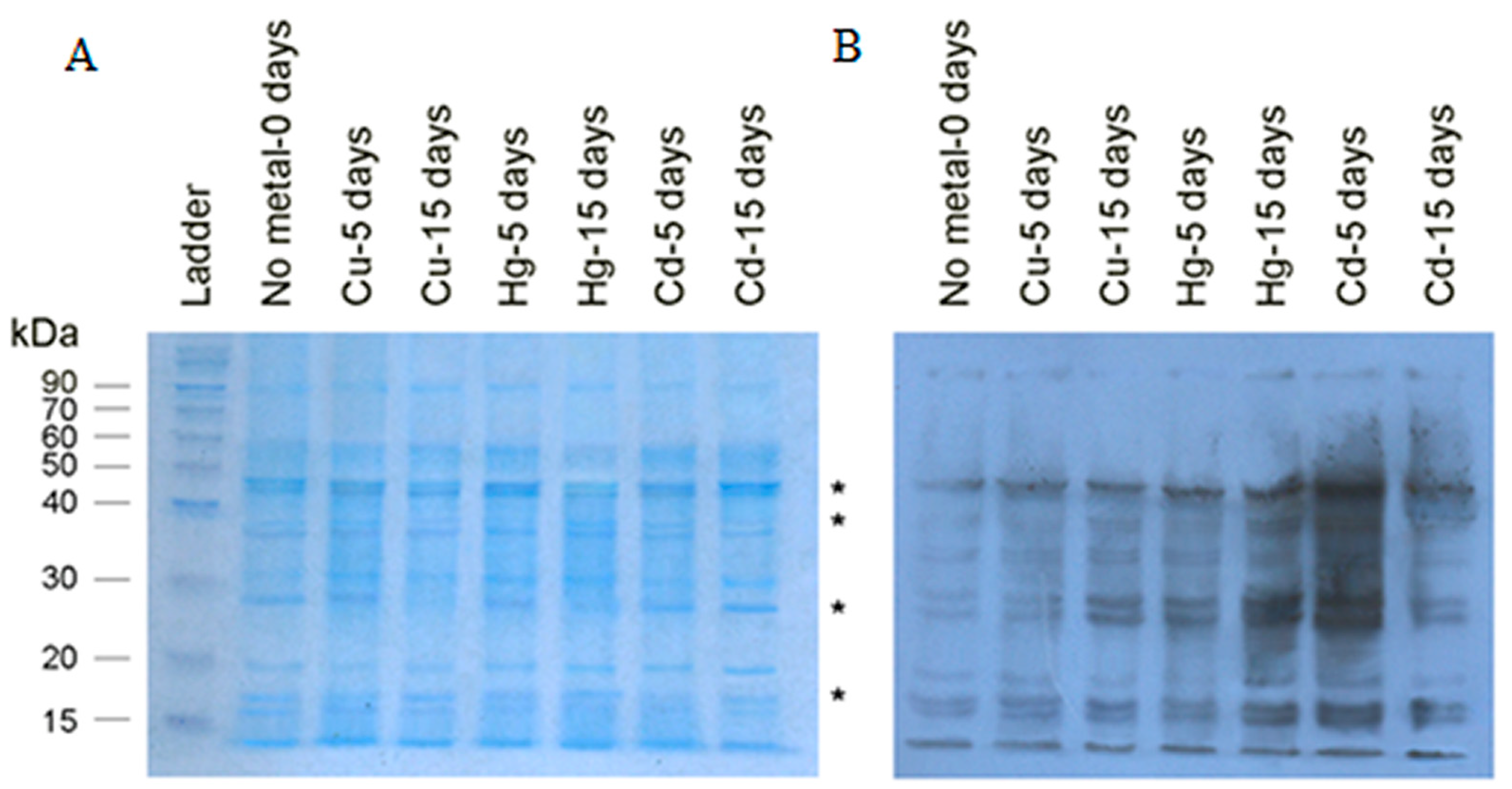 Toxics 08 00089 g003 Toxics 08 00089 g003