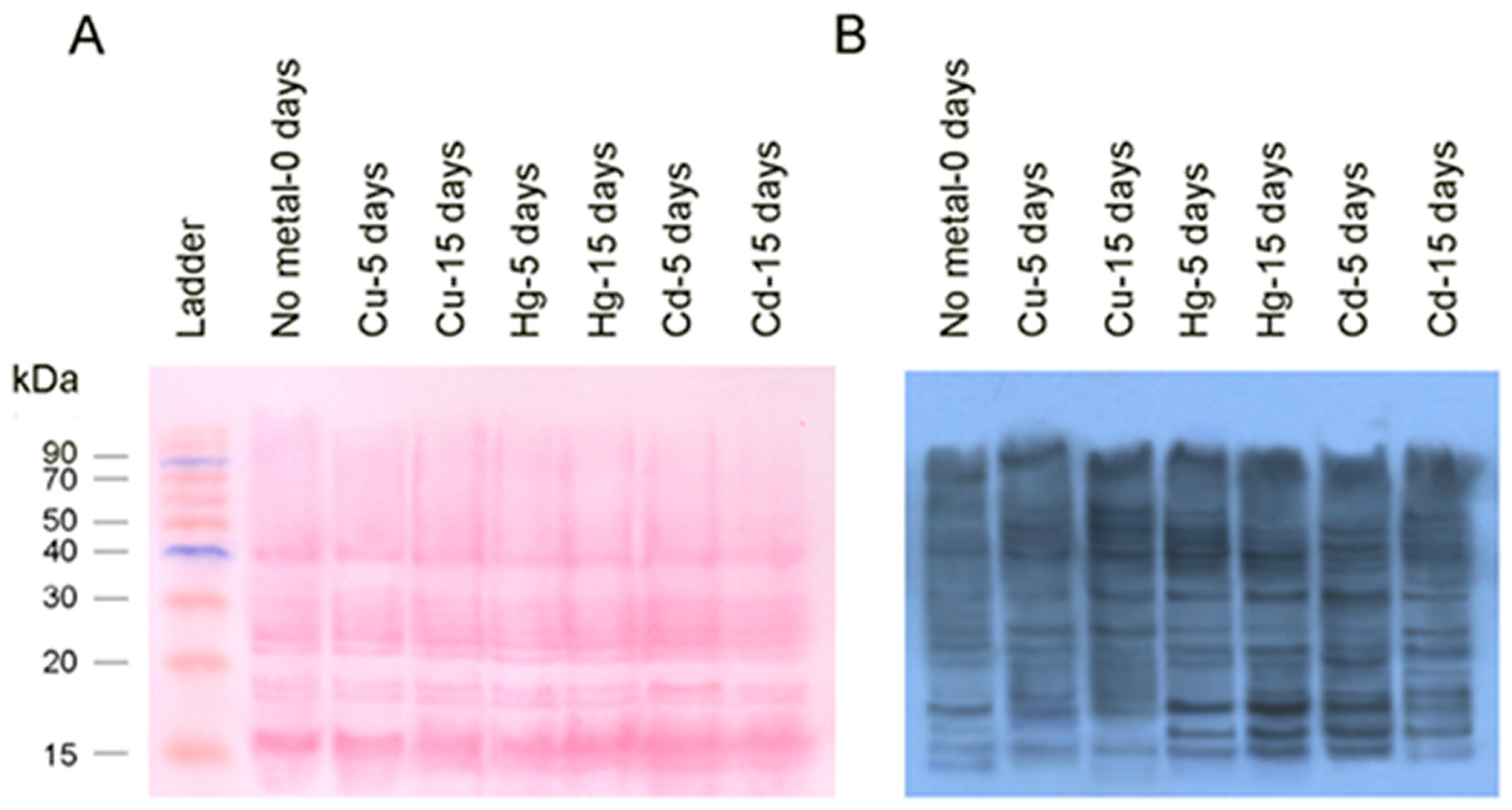 Toxics 08 00089 g004 Toxics 08 00089 g004