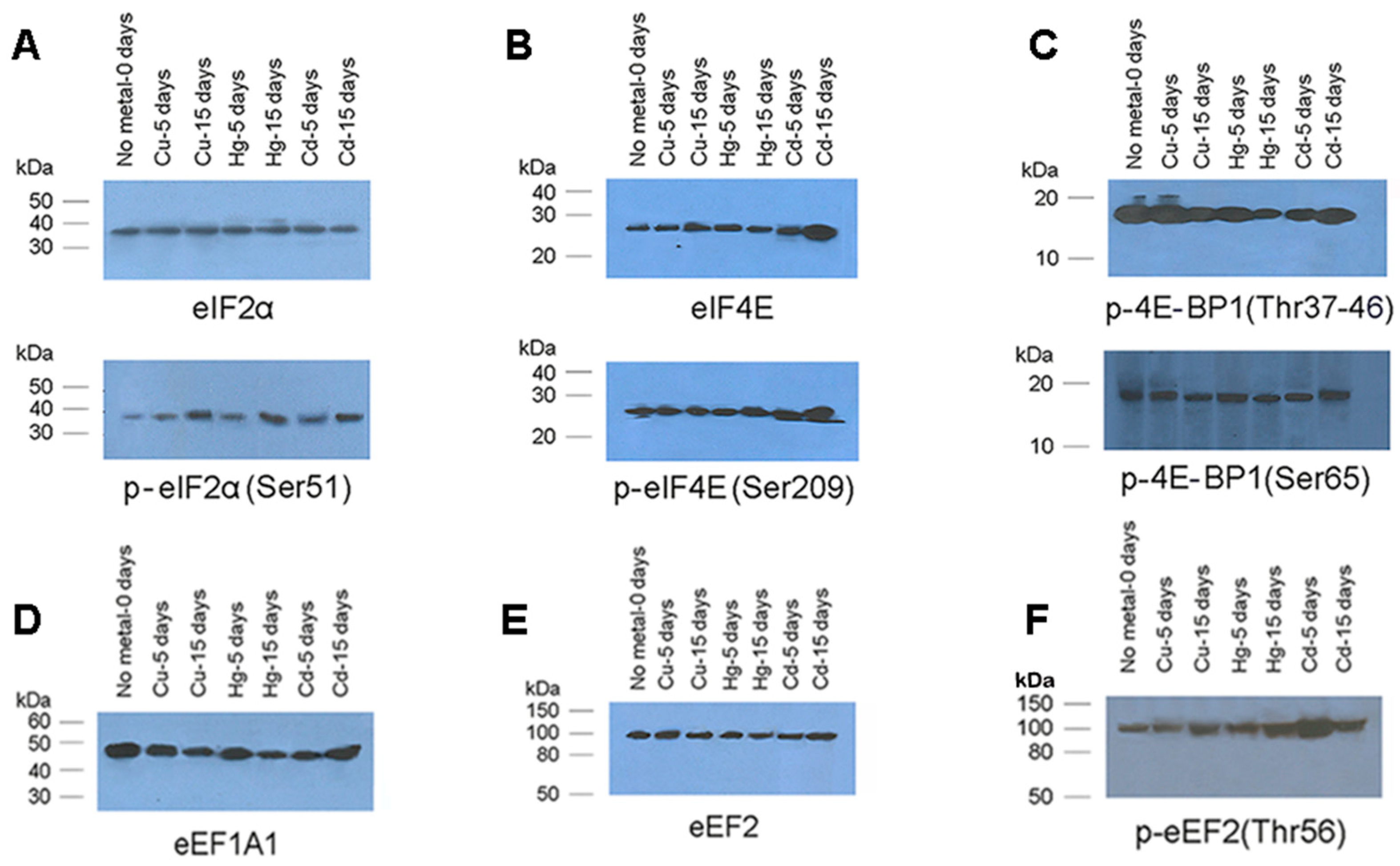 Toxics 08 00089 g005 Toxics 08 00089 g005