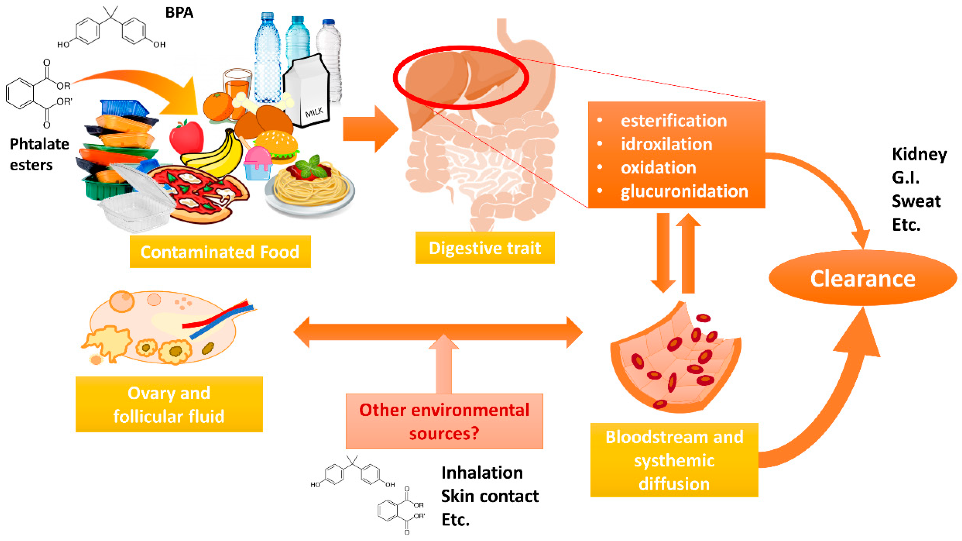 Toxics 08 00091 g005 Toxics 08 00091 g005