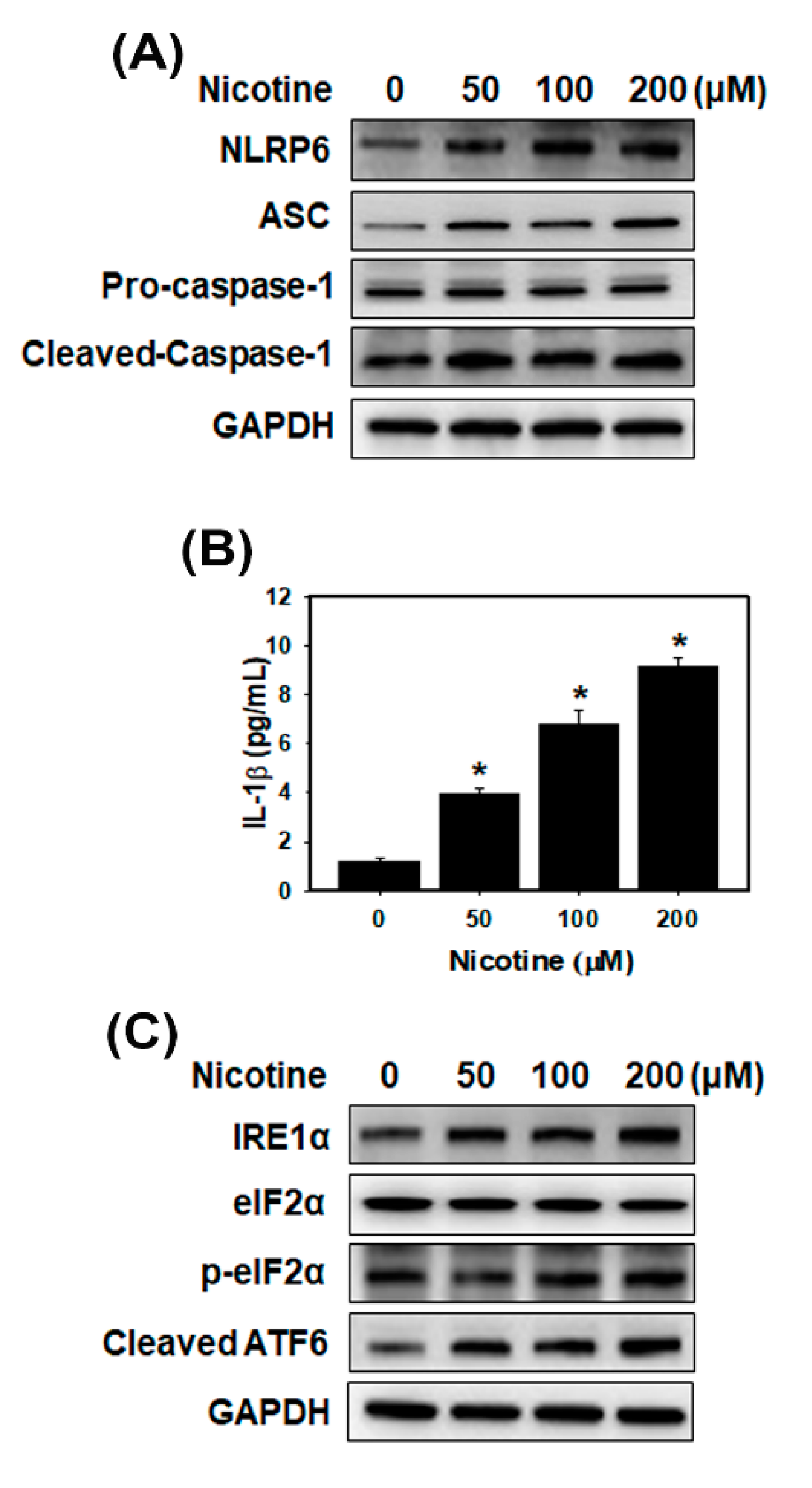 Toxics 08 00092 g002