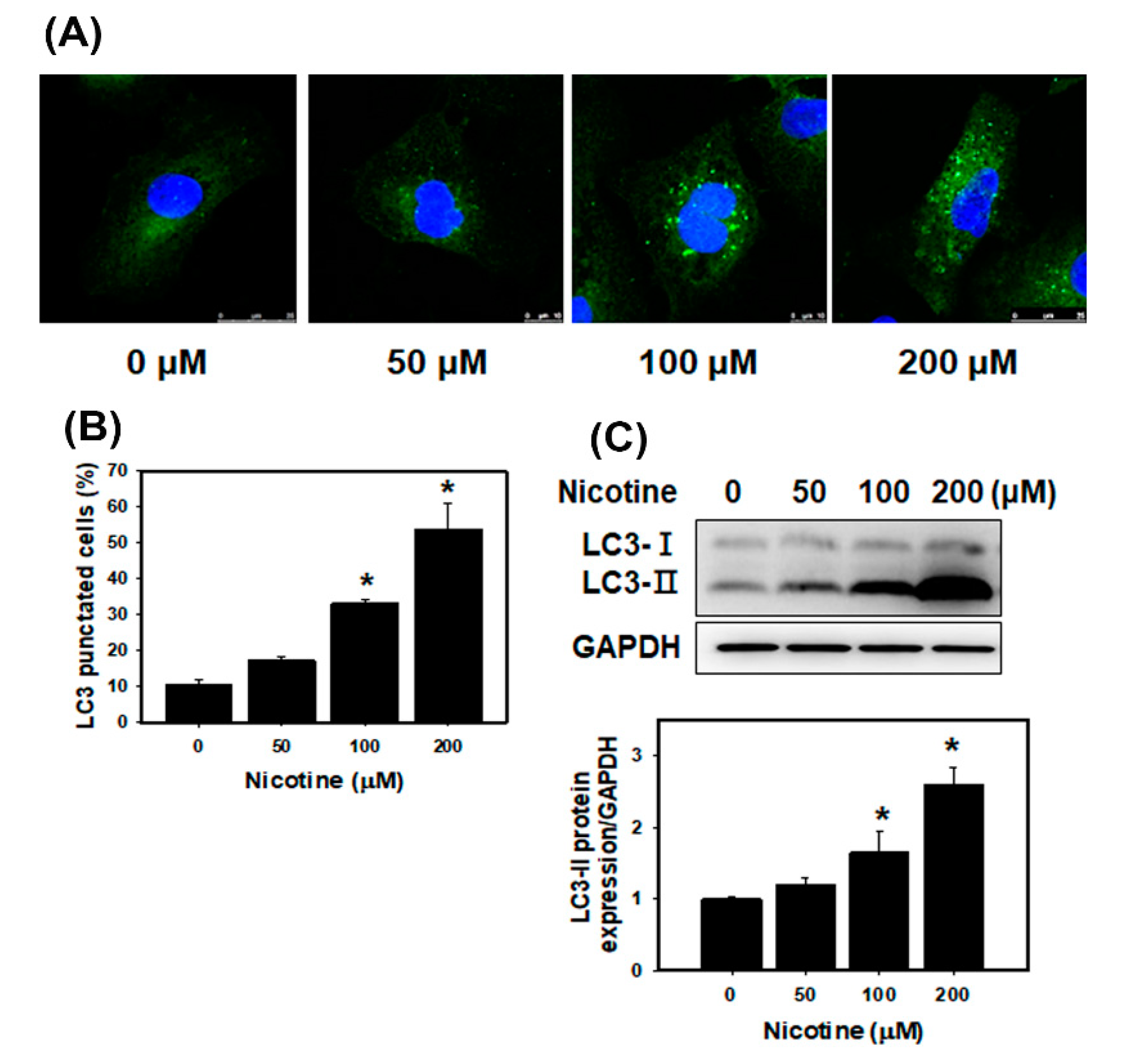Toxics 08 00092 g004