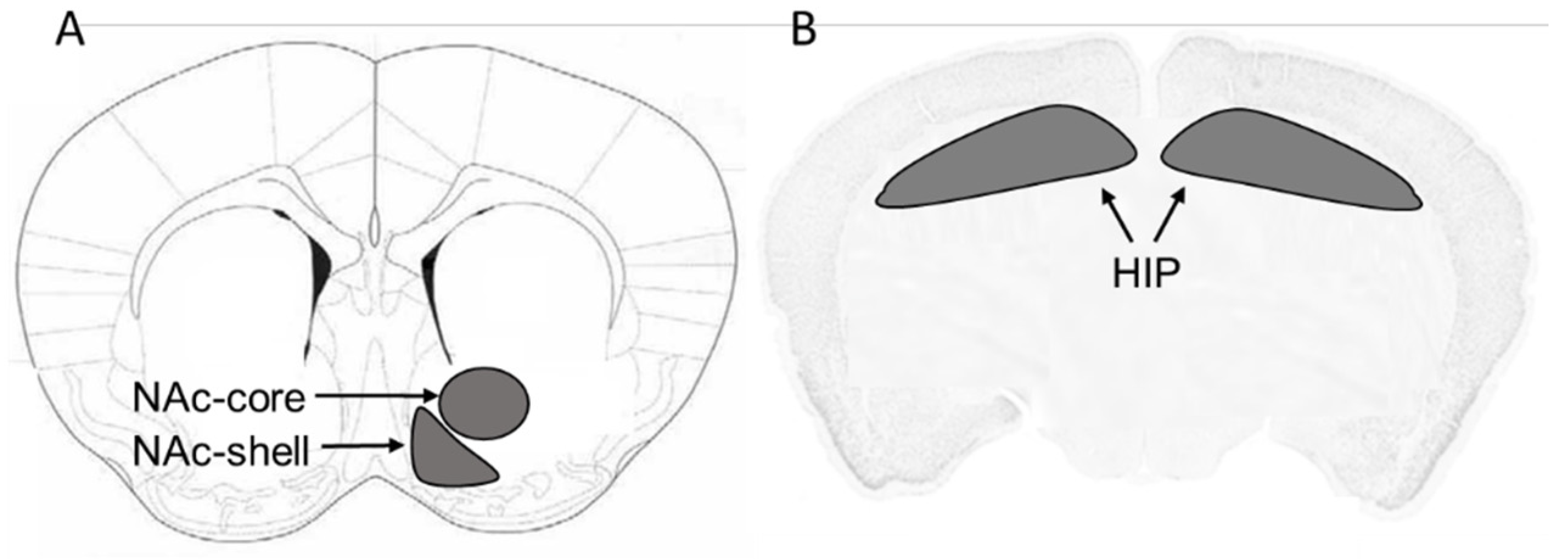 Toxics 08 00095 g001