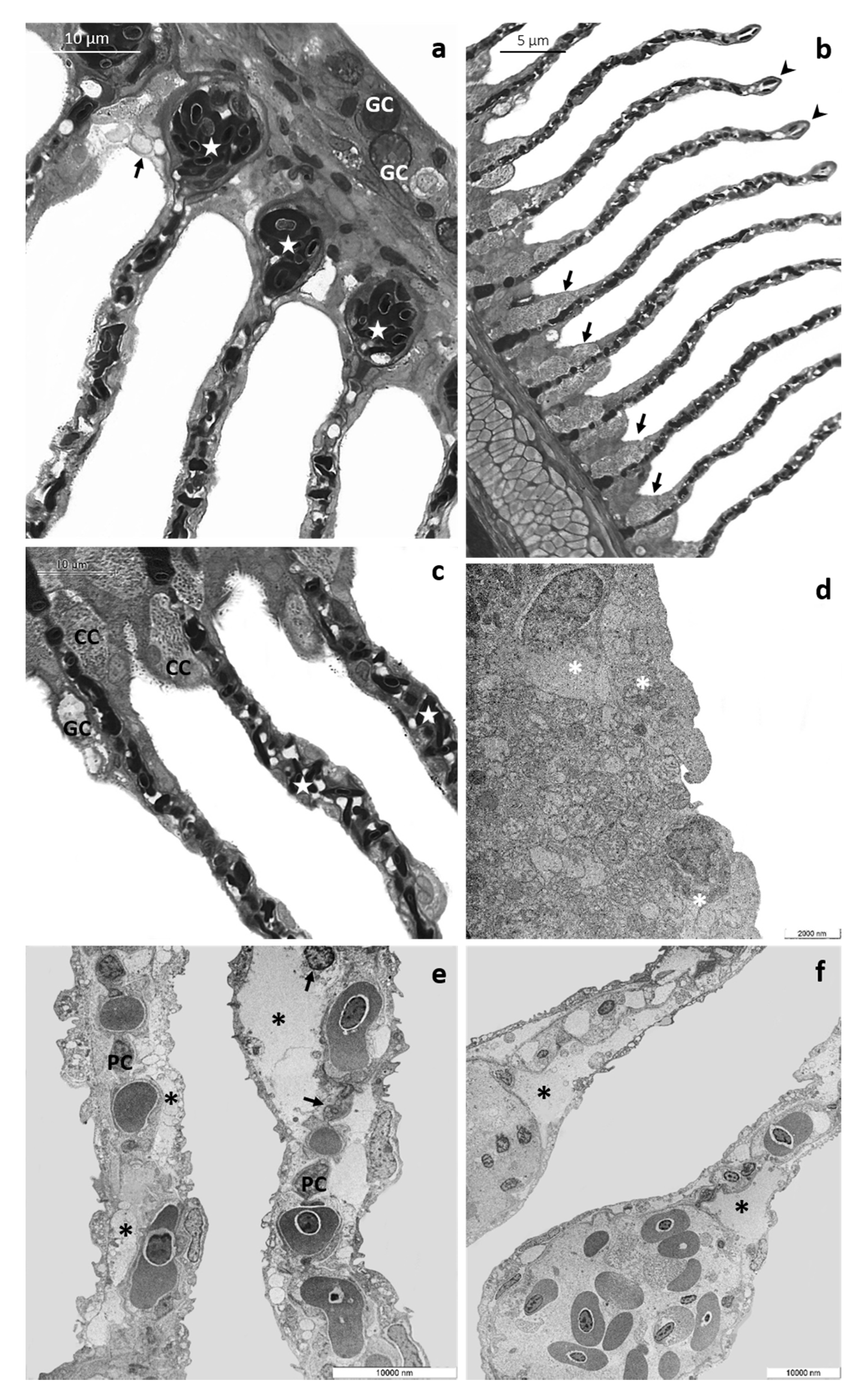Toxics 08 00097 g004