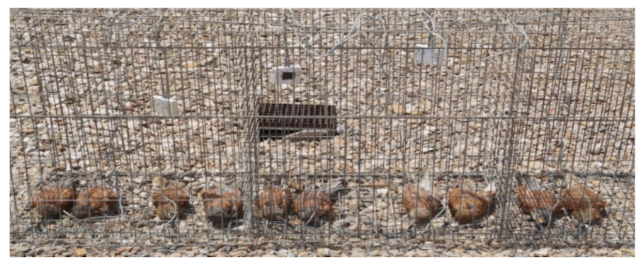 Toxics 08 00098 g001