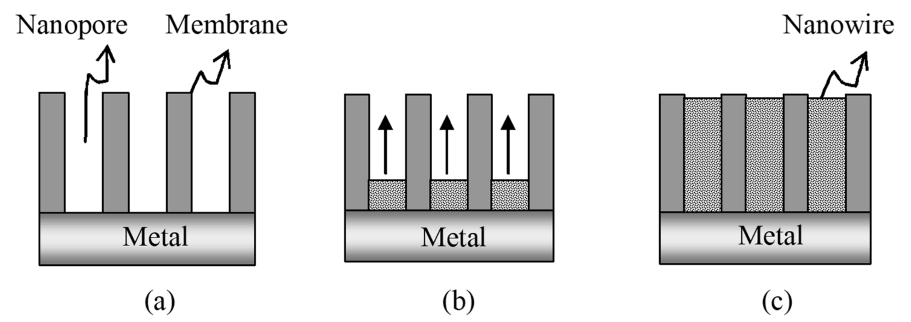 Toxics 08 00101 g009 Toxics 08 00101 g009