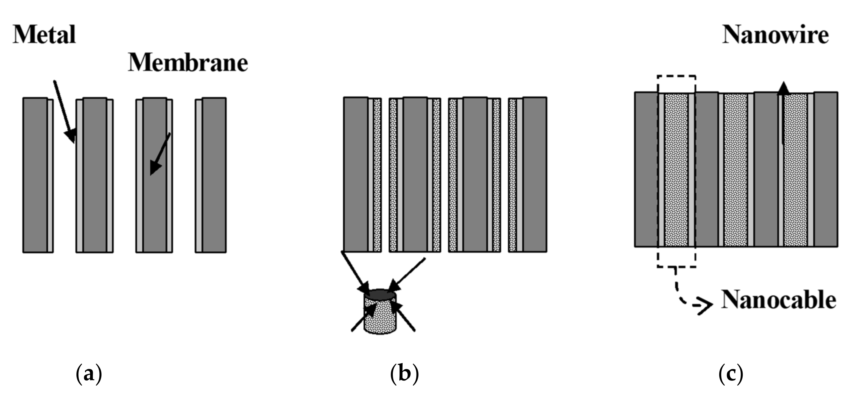 Toxics 08 00101 g010 Toxics 08 00101 g010