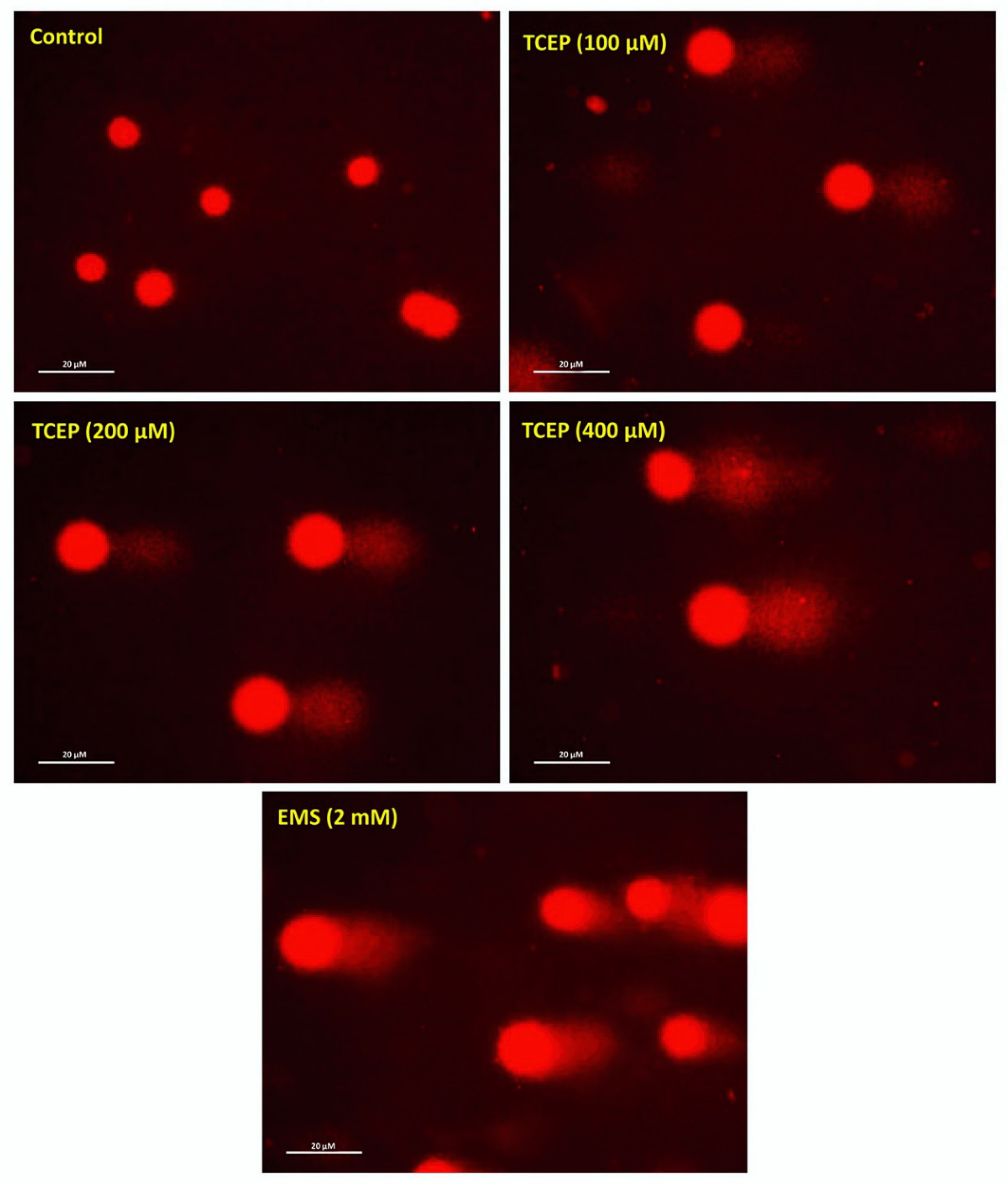 Toxics 08 00109 g002 Toxics 08 00109 g002