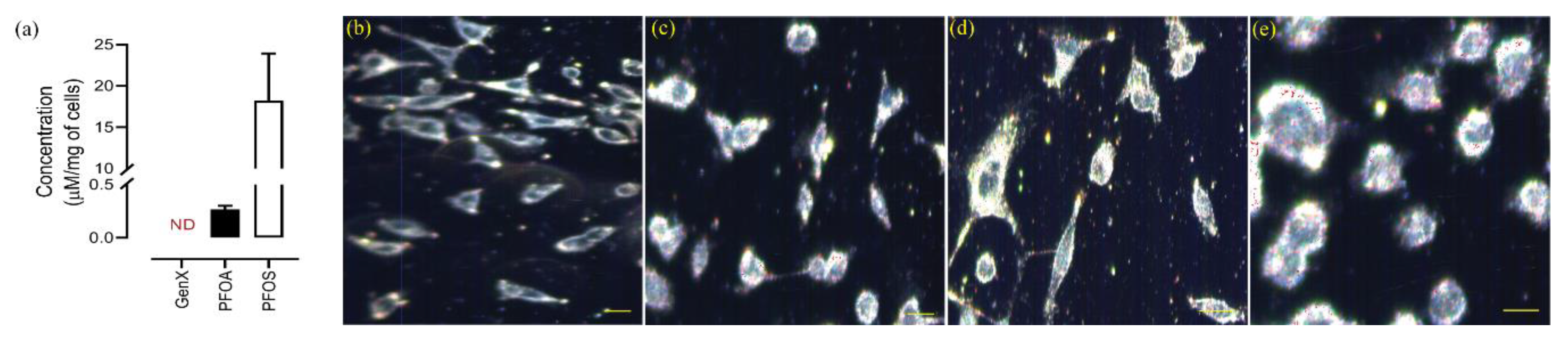 Toxics 08 00112 g006 Toxics 08 00112 g006