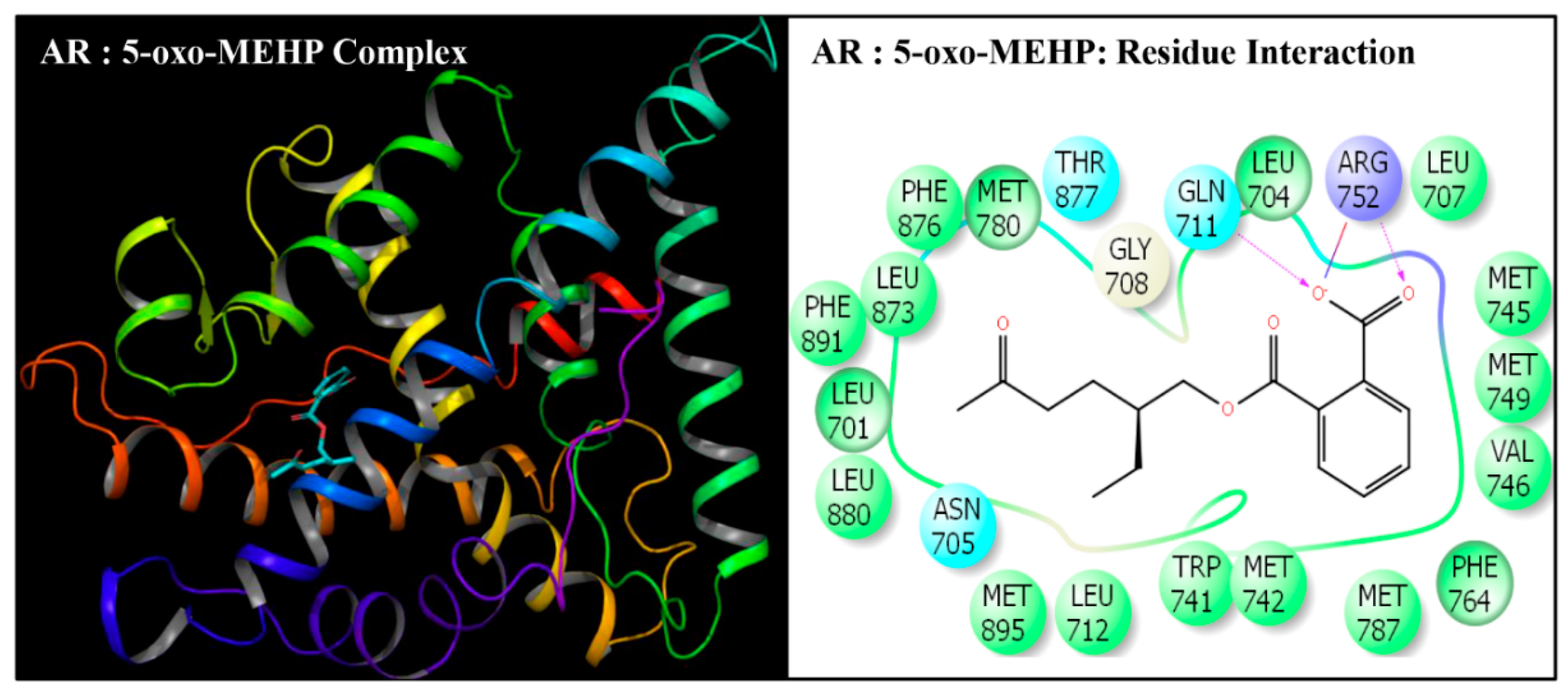 Toxics 08 00115 g005 Toxics 08 00115 g005