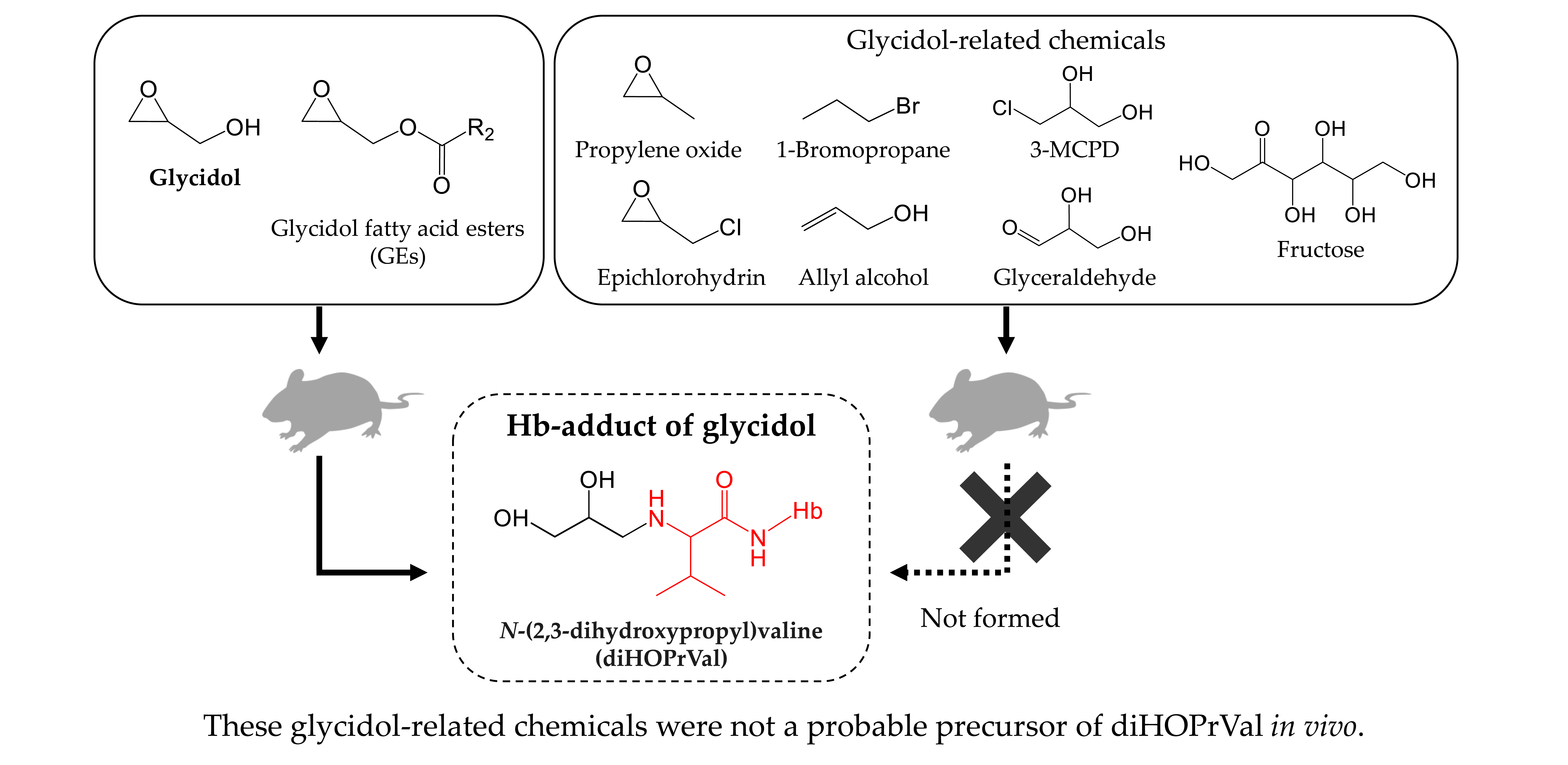 Toxics Free Full Text Does External Exposure Of Glycidol Related Chemicals Influence The Forming Of The Hemoglobin Adduct N 2 3 Dihydroxypropyl Valine As A Biomarker Of Internal Exposure To Glycidol