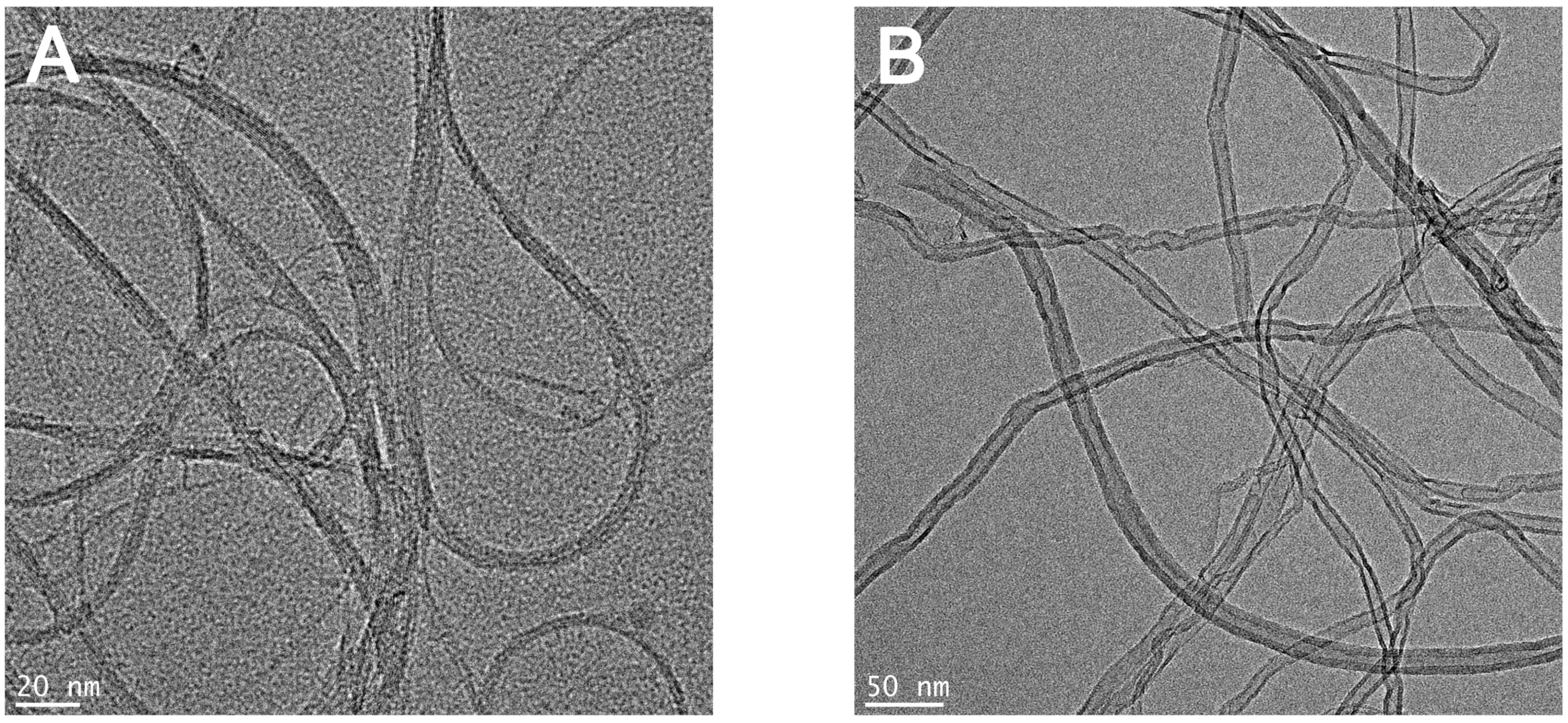 Toxics 08 00122 g001