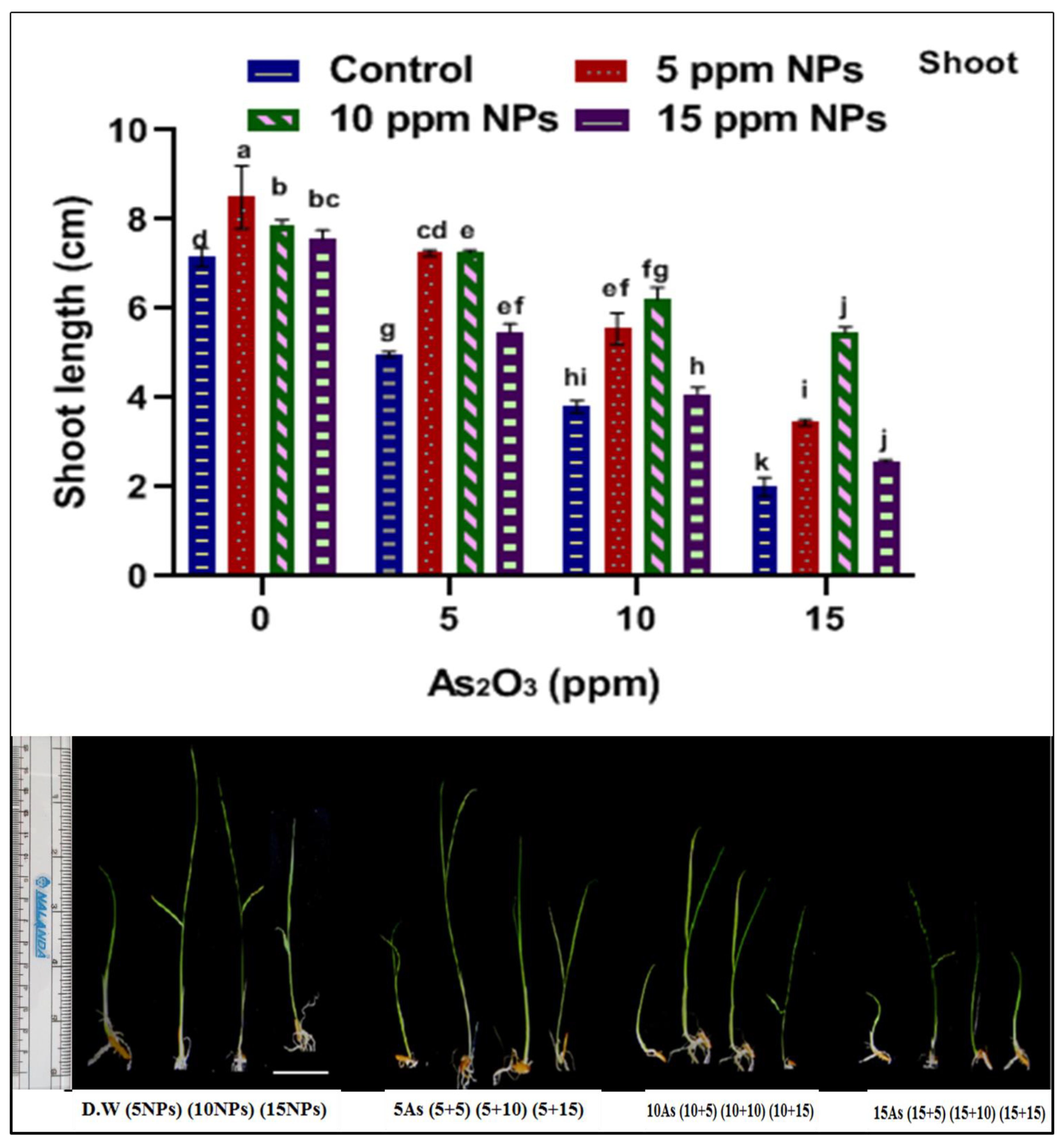 Toxics 09 00002 g003