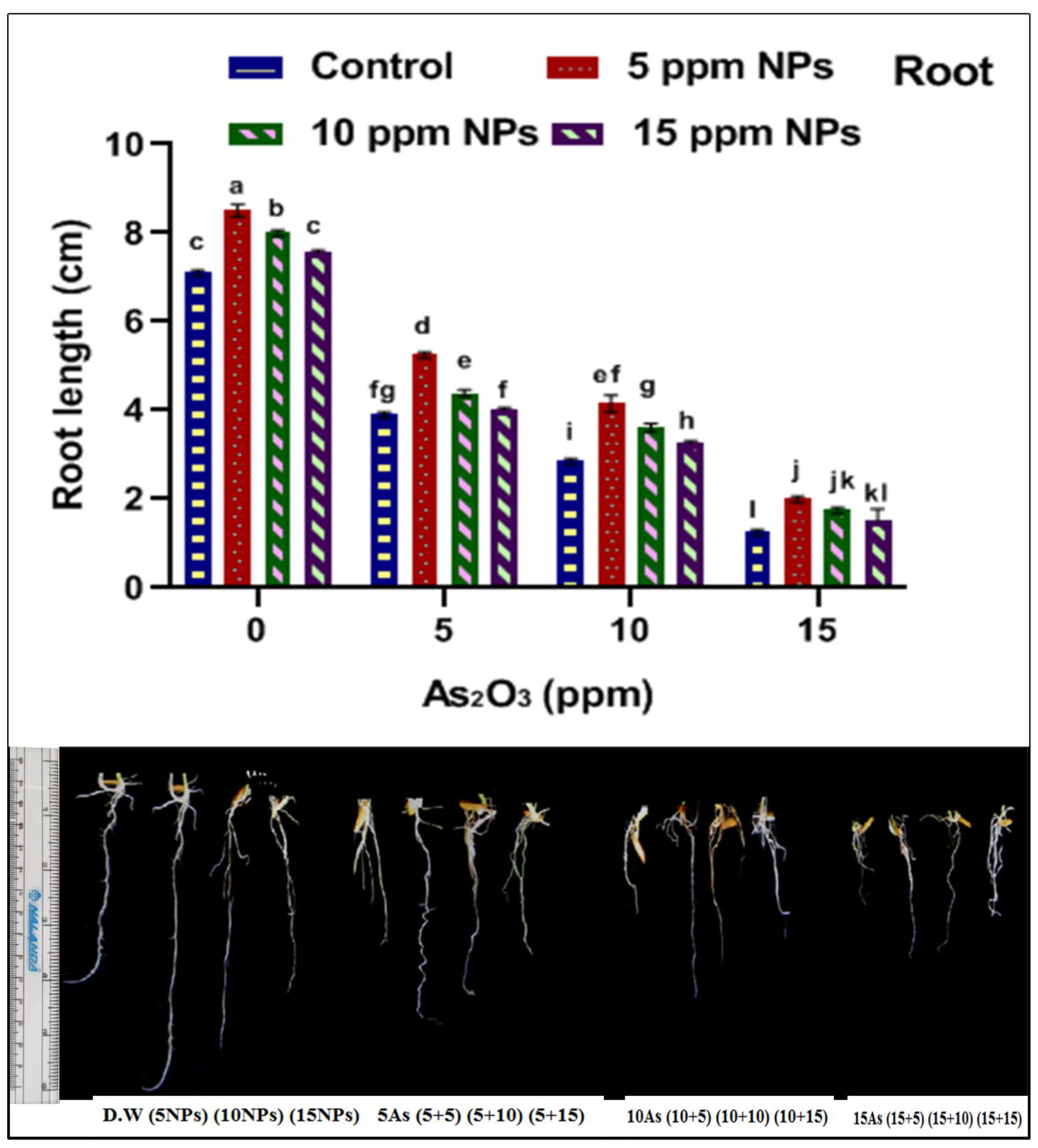 Toxics 09 00002 g004