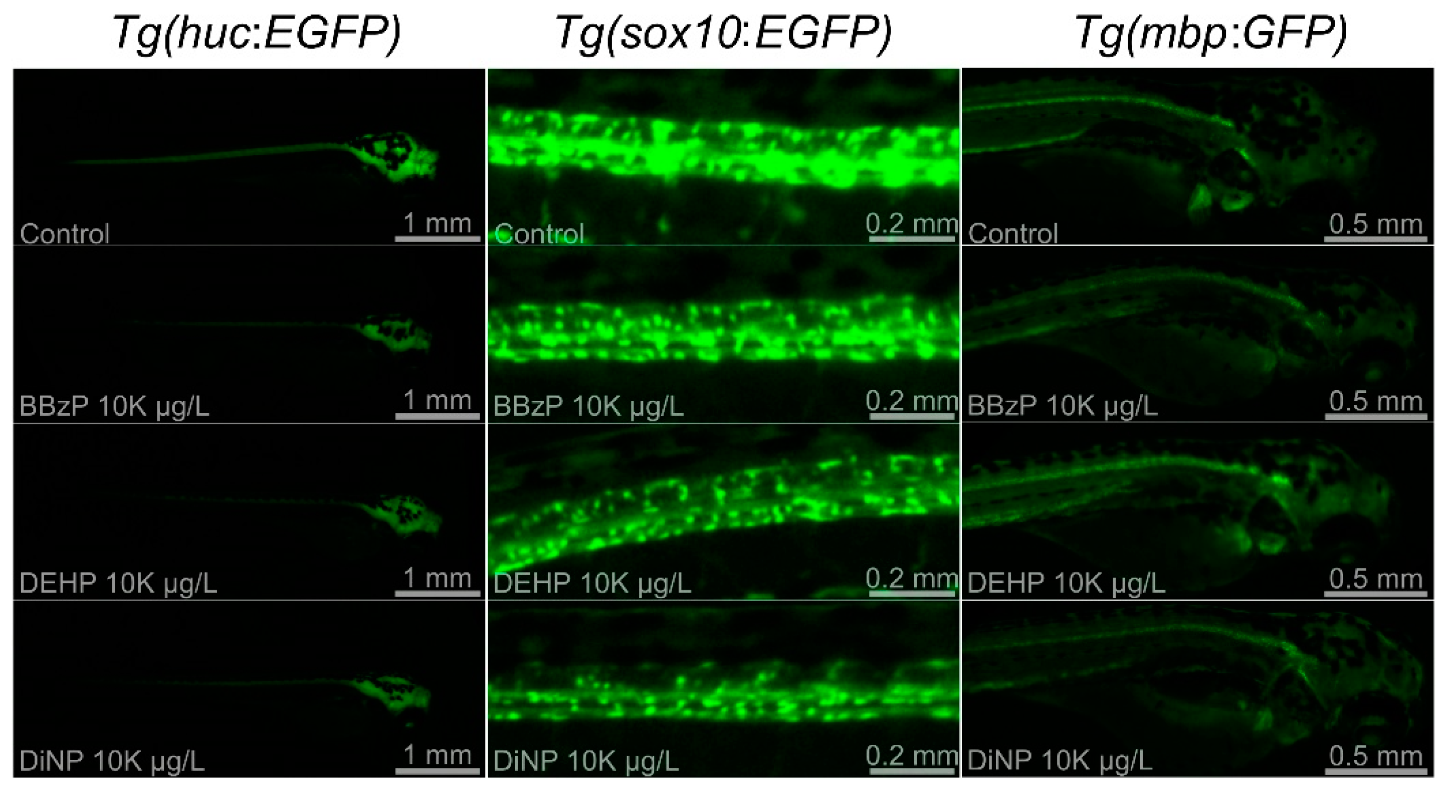 Toxics 09 00005 g003 Toxics 09 00005 g003