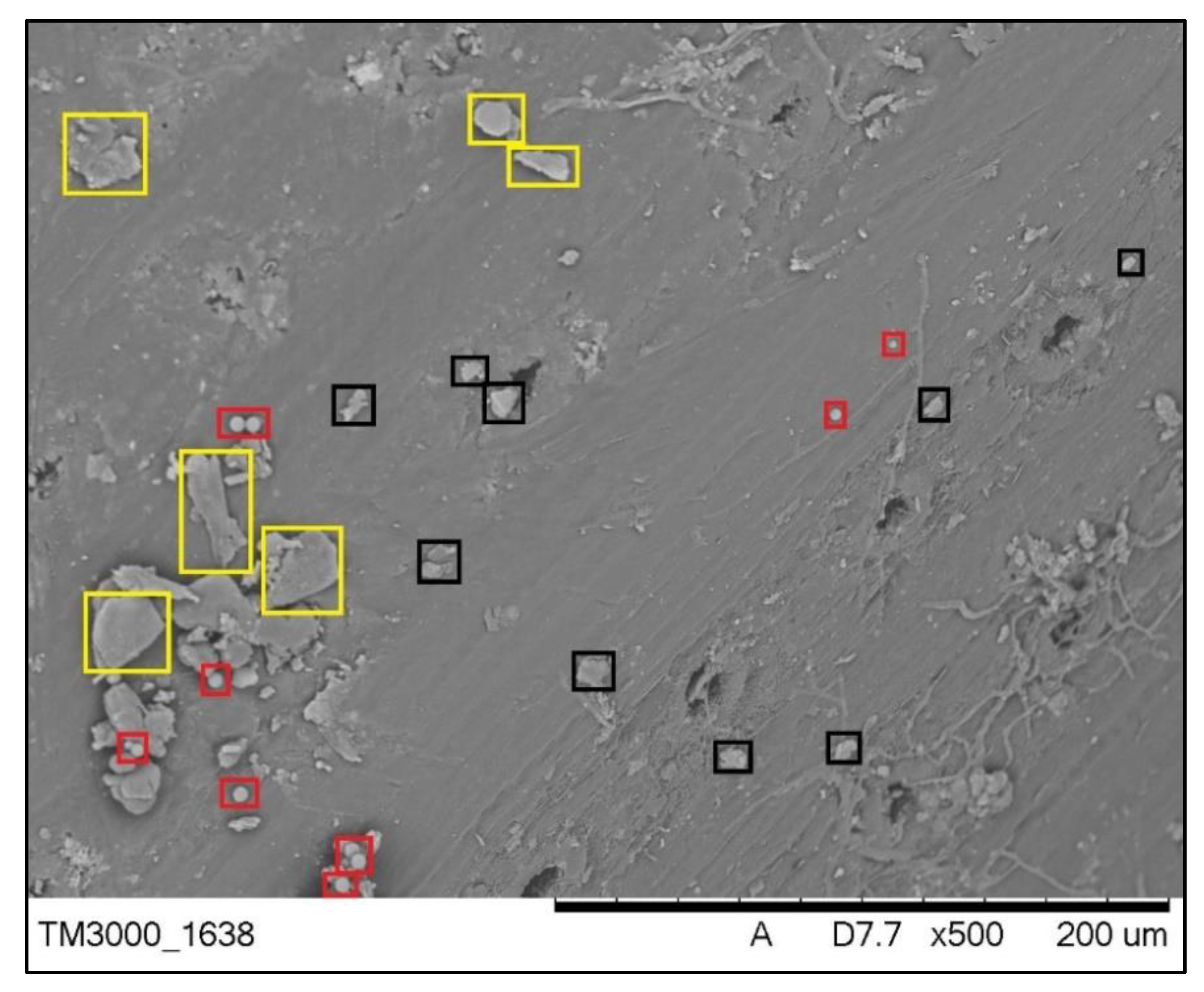 Toxics 09 00015 g003