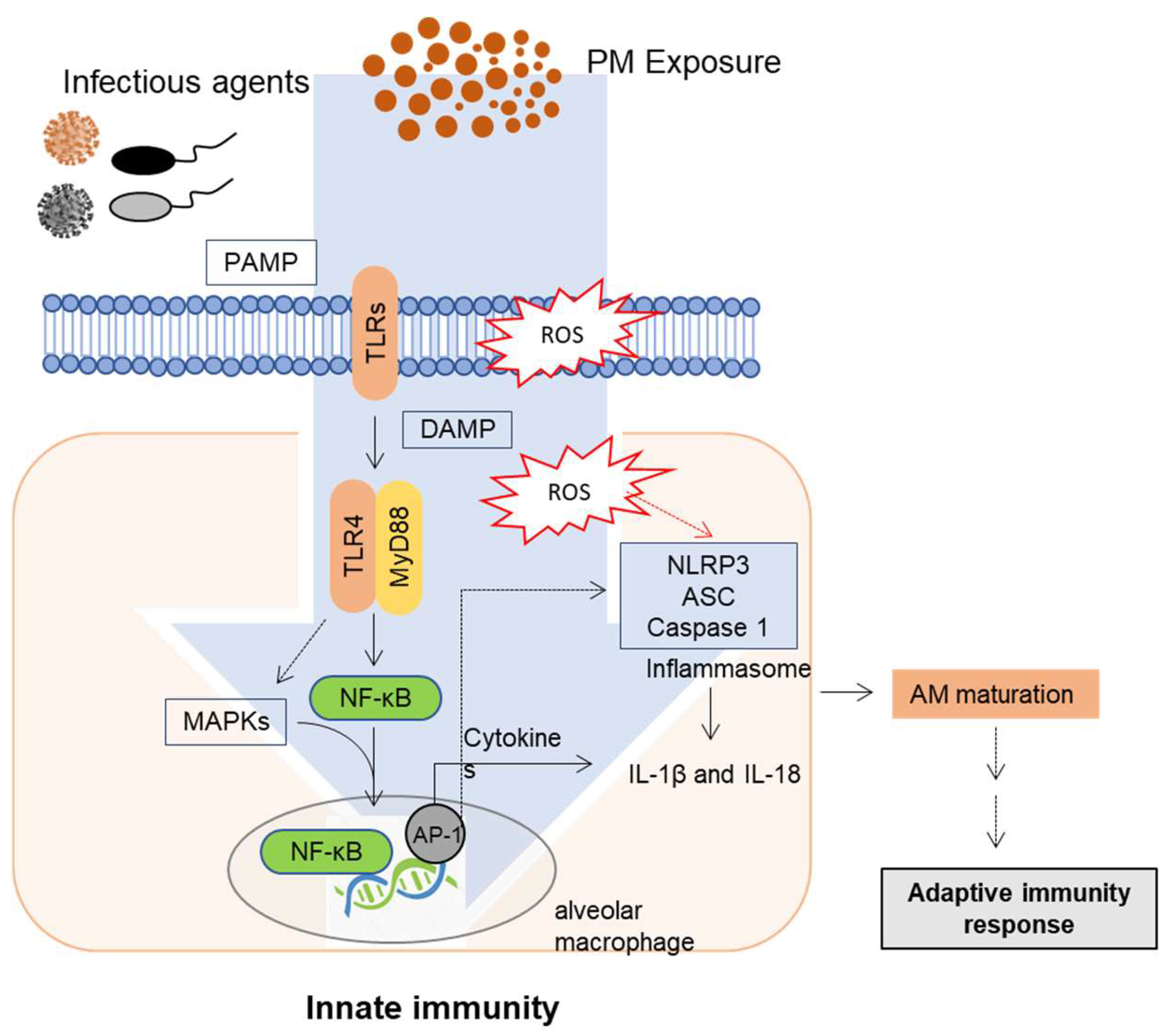Toxics 09 00018 g001