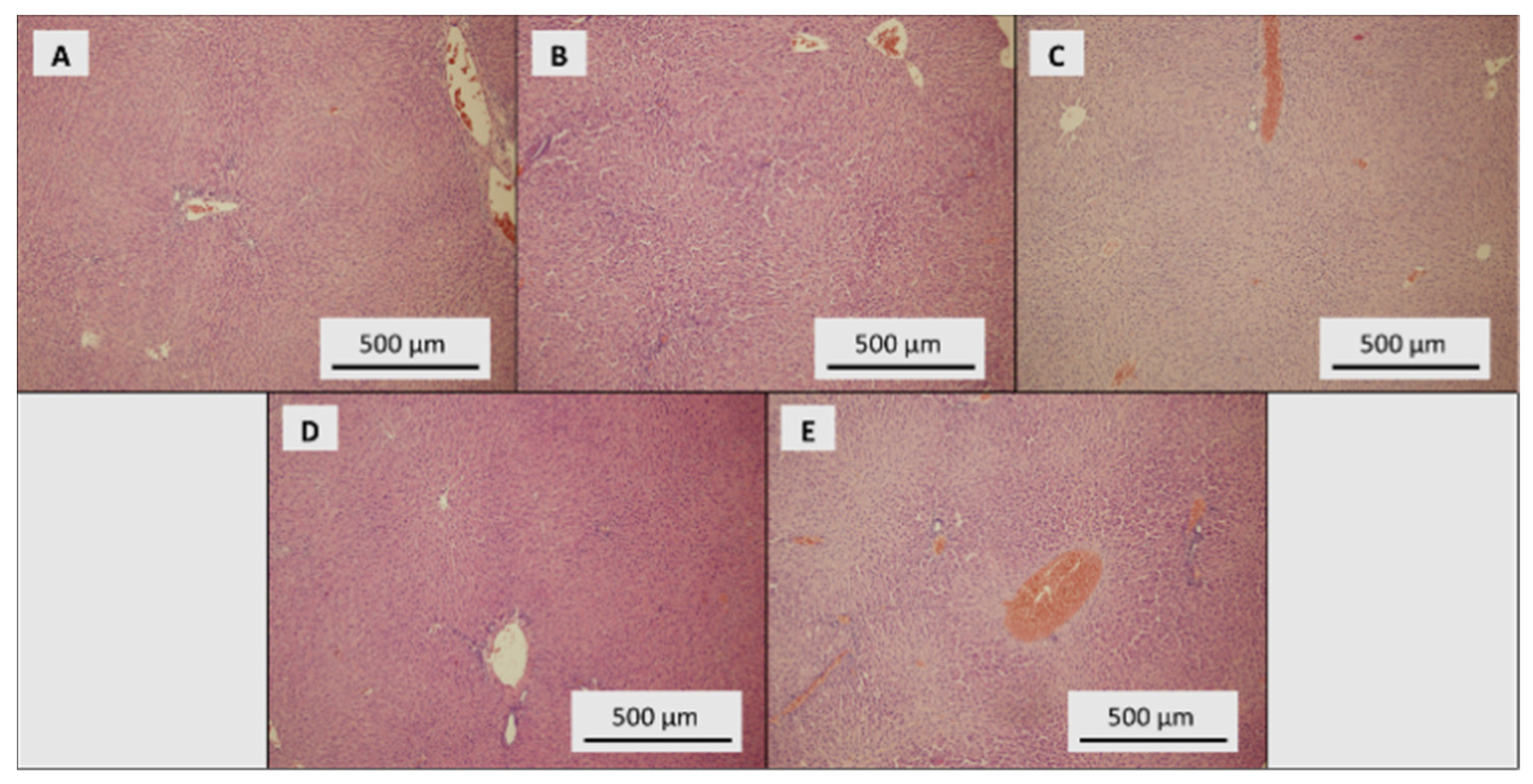 Toxics 09 00028 g005