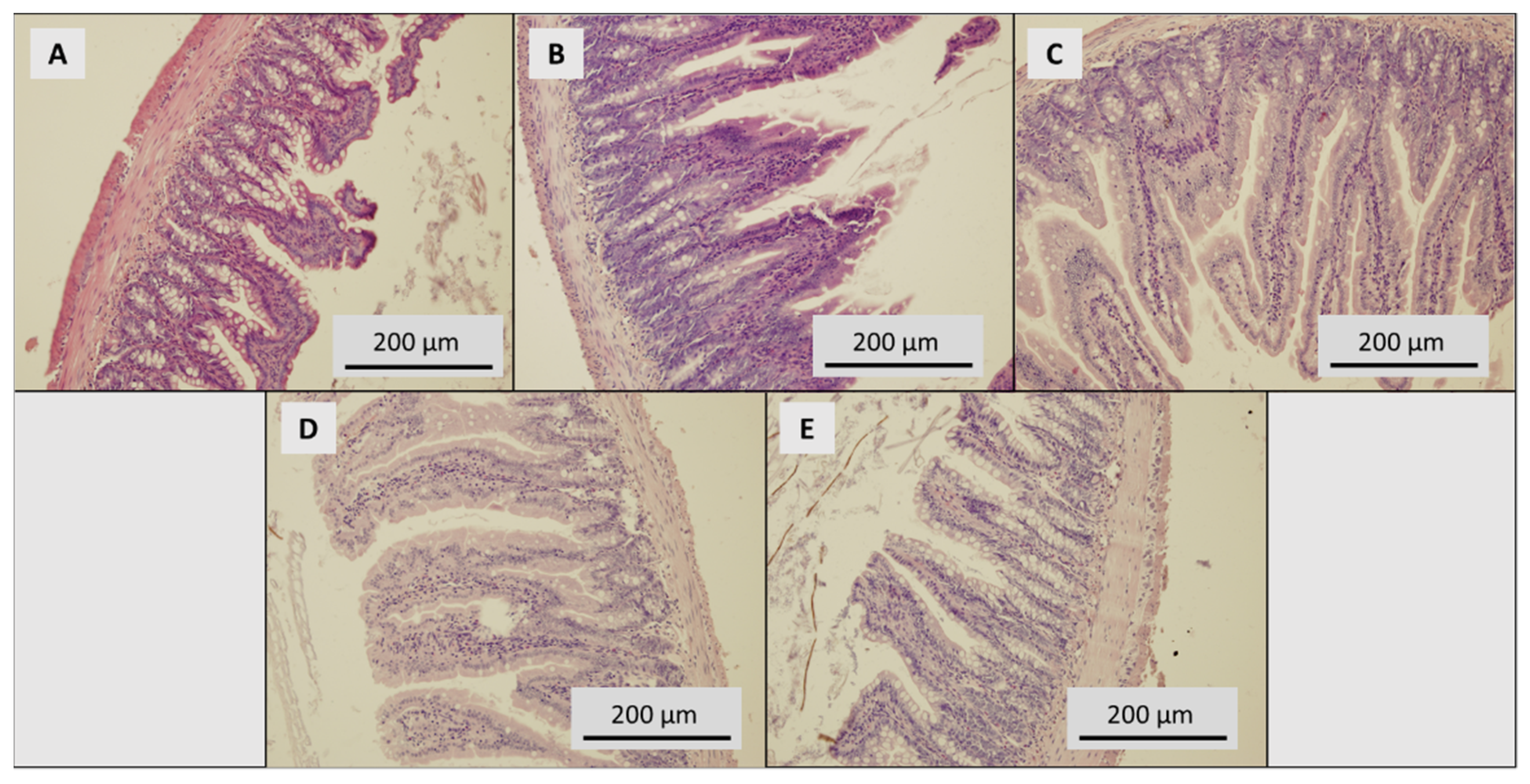 Toxics 09 00028 g006
