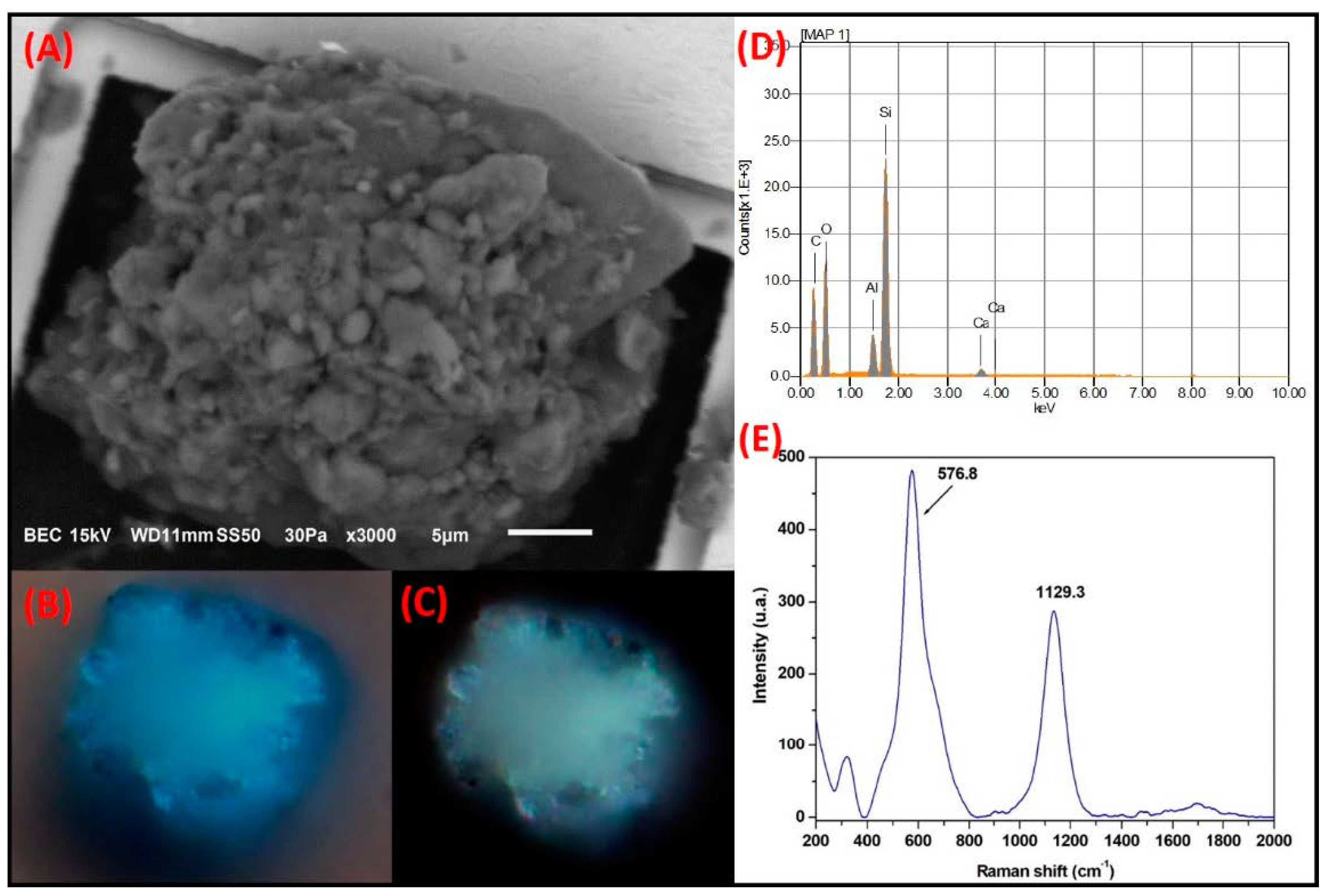 Toxics 09 00037 g008
