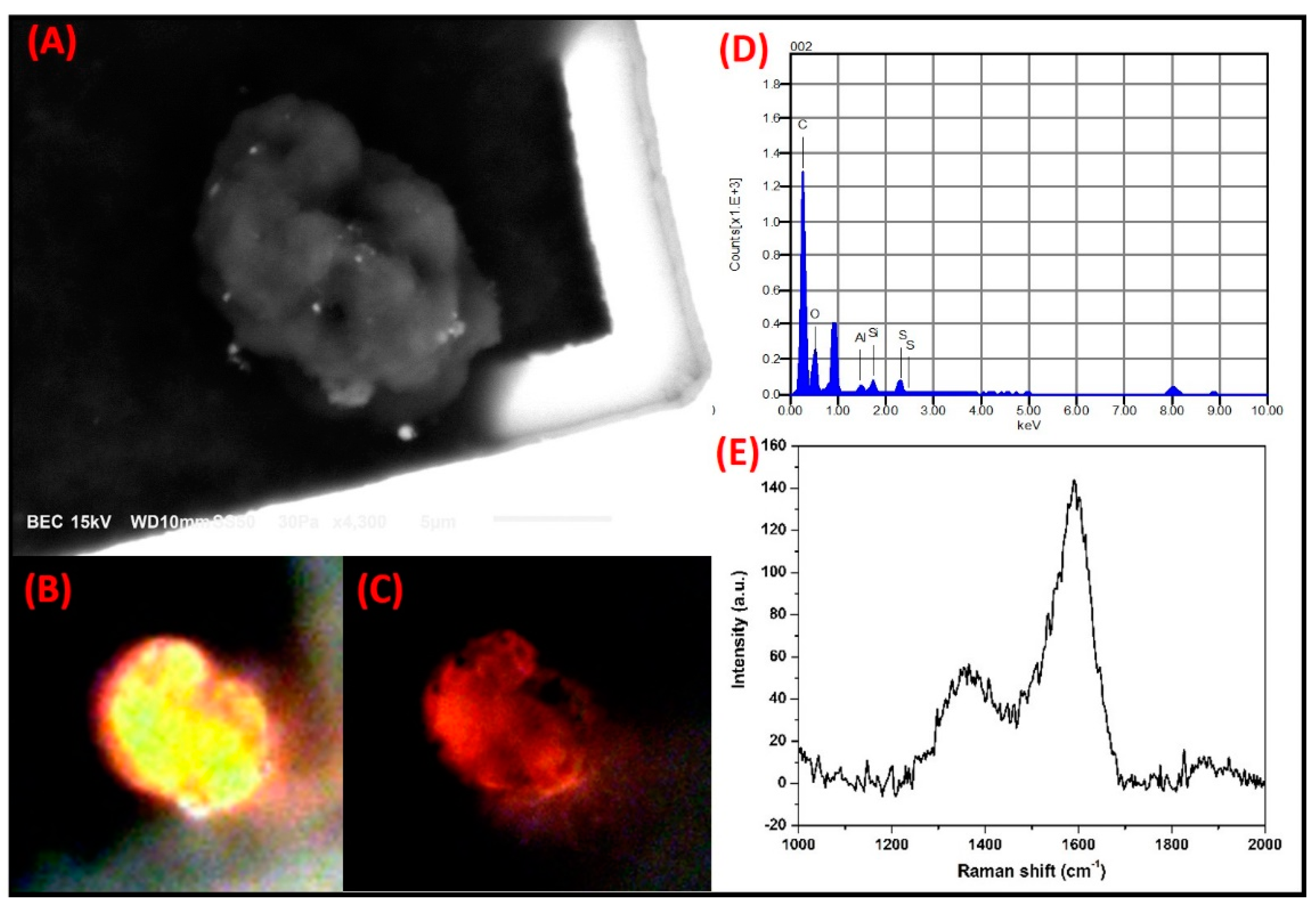 Toxics 09 00037 g009