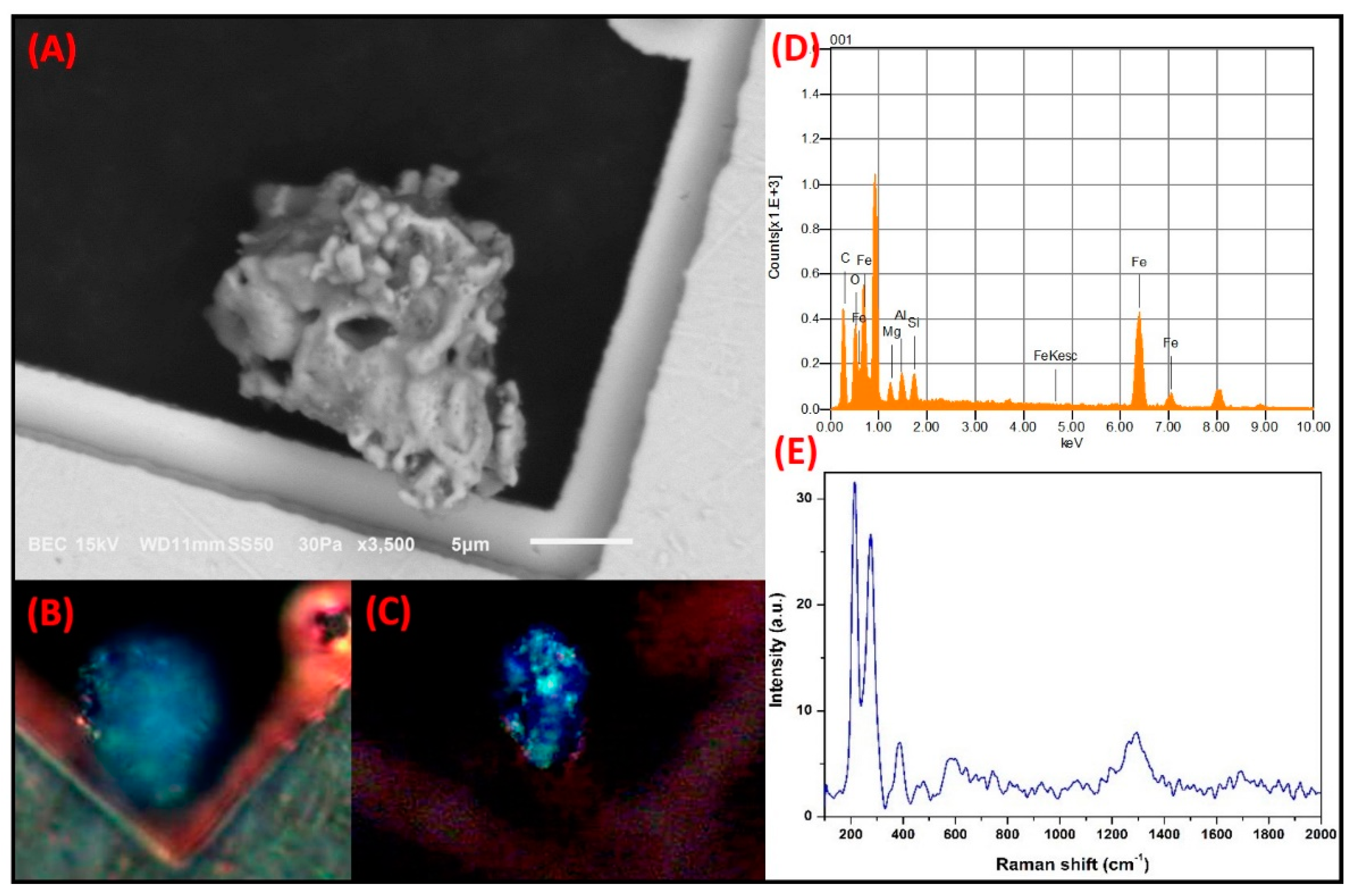 Toxics 09 00037 g010
