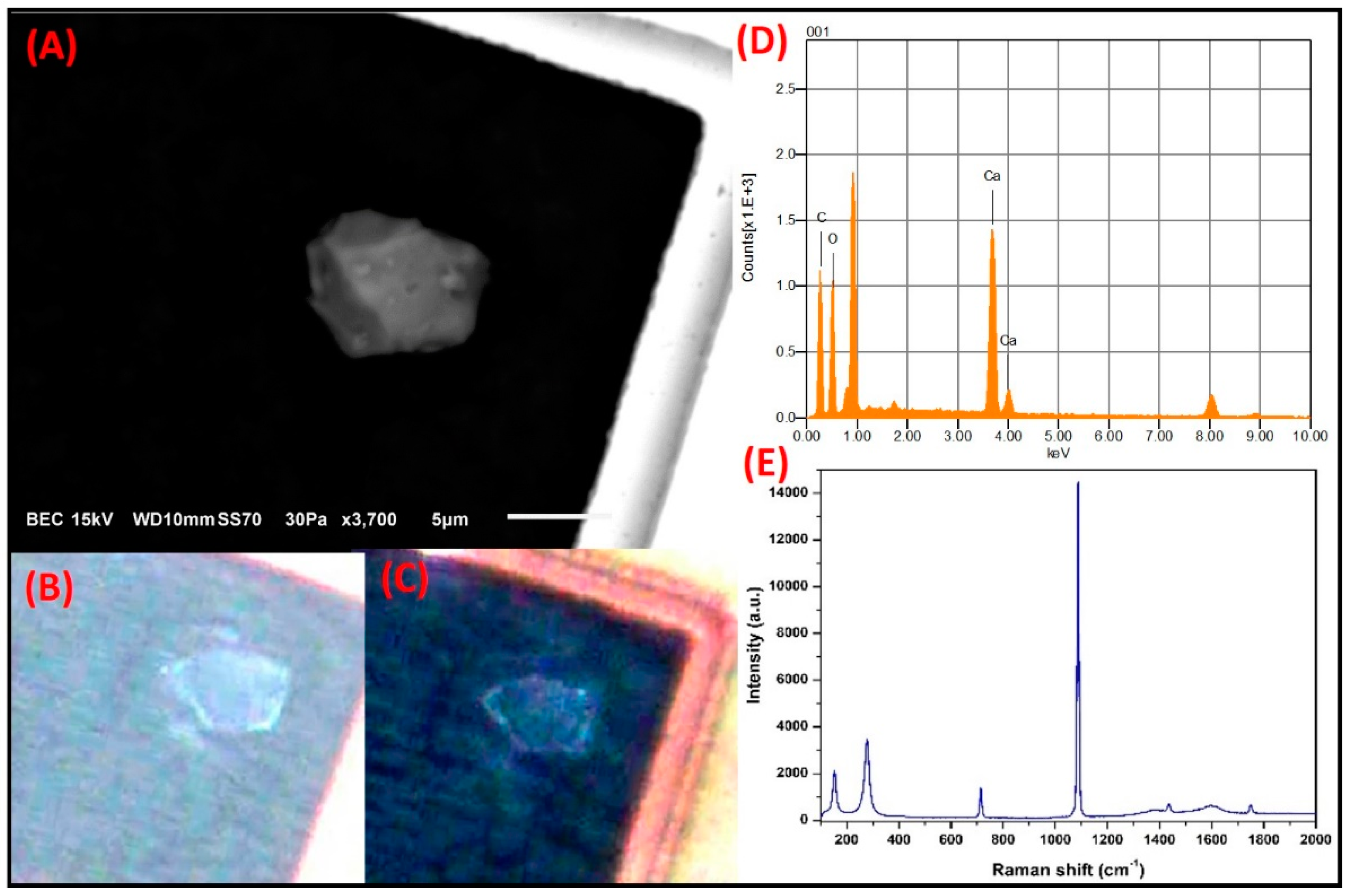 Toxics 09 00037 g013