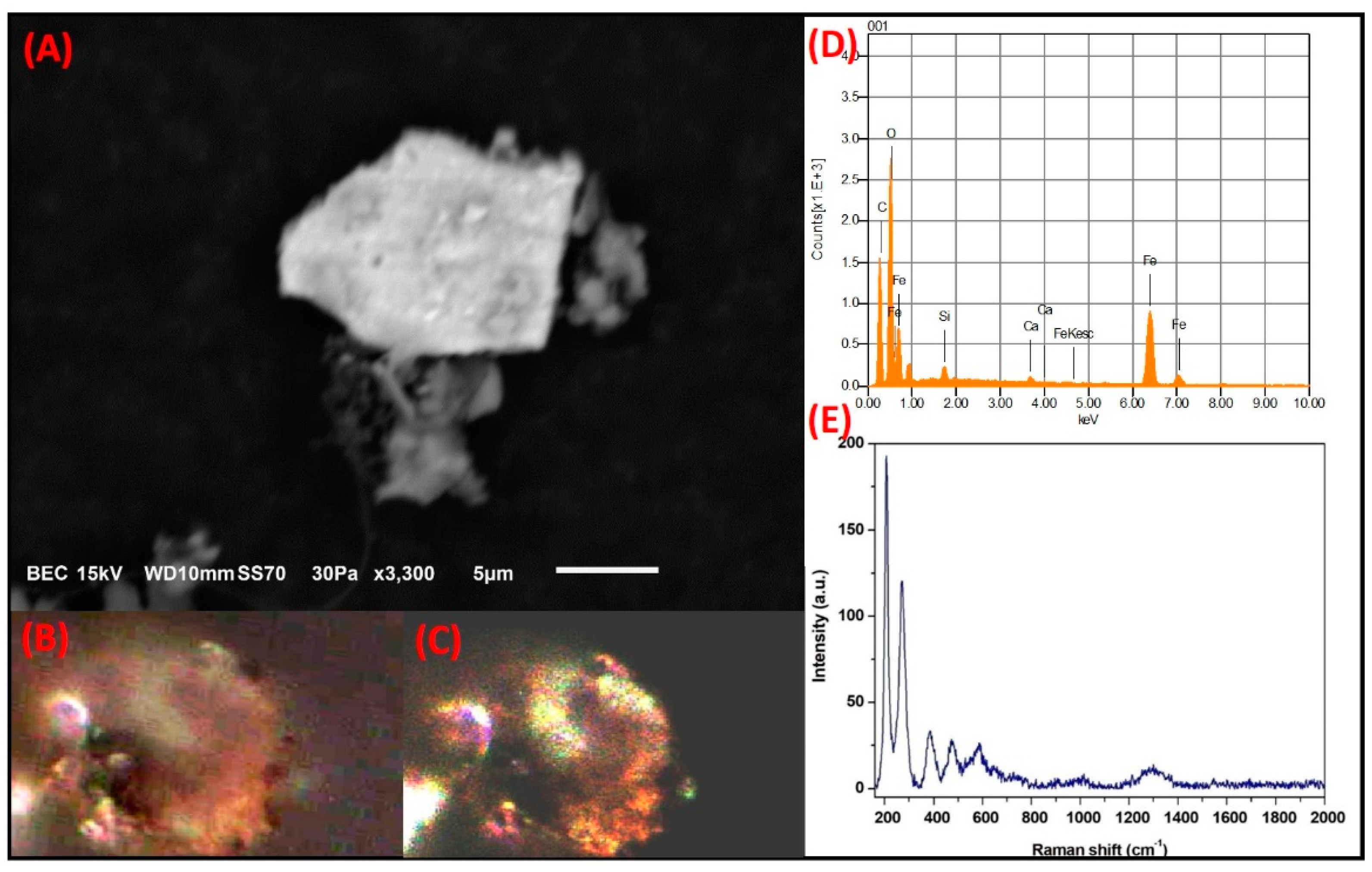 Toxics 09 00037 g014